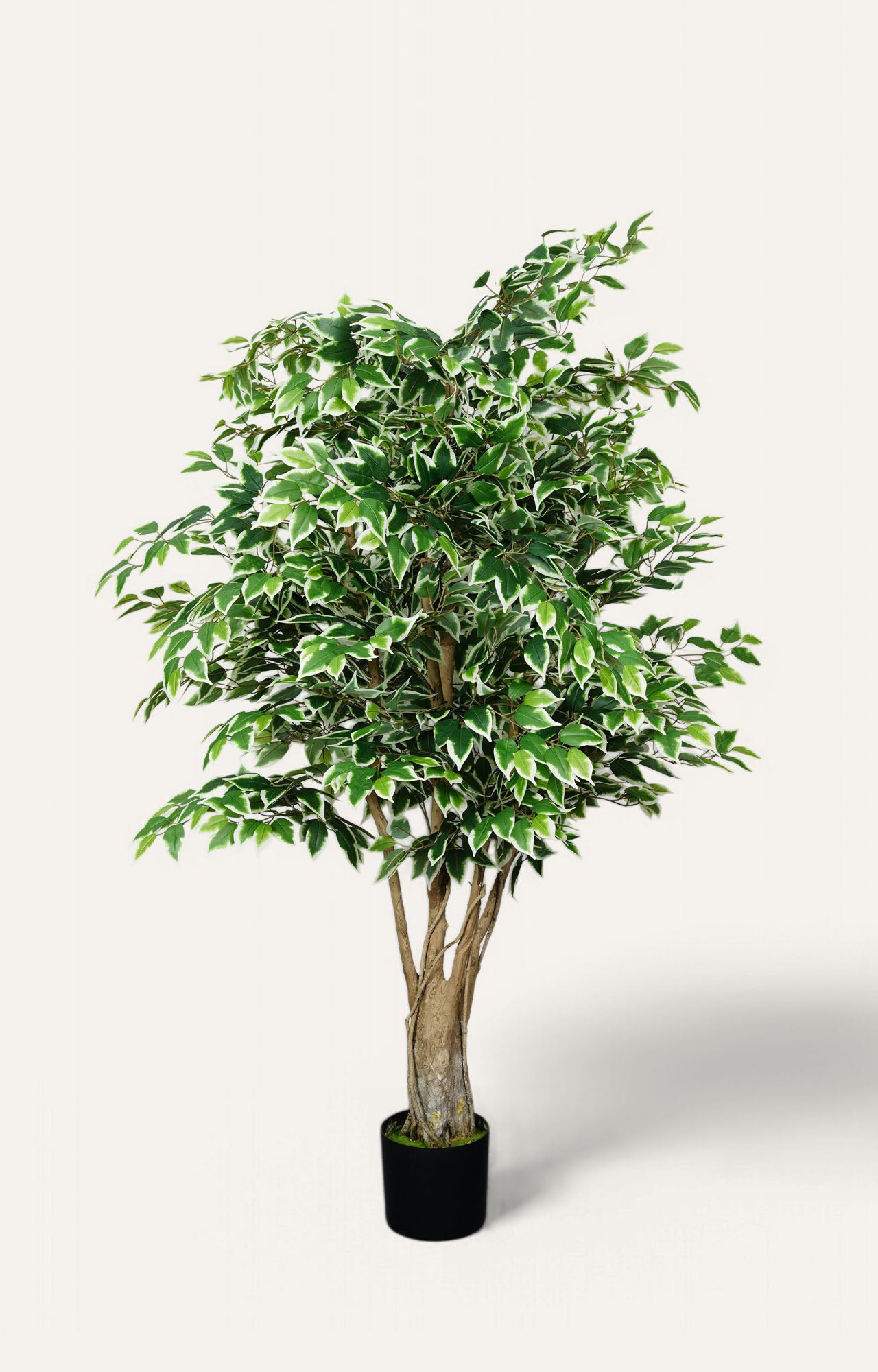 Faux Ficus Tree - Green