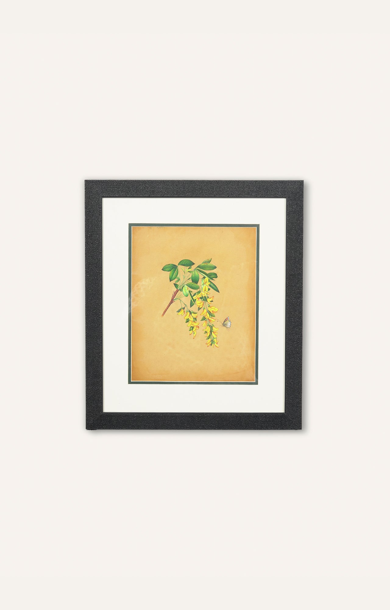 Hand-Painted Framed  Butterfly on a Branch of Yellow Flowers