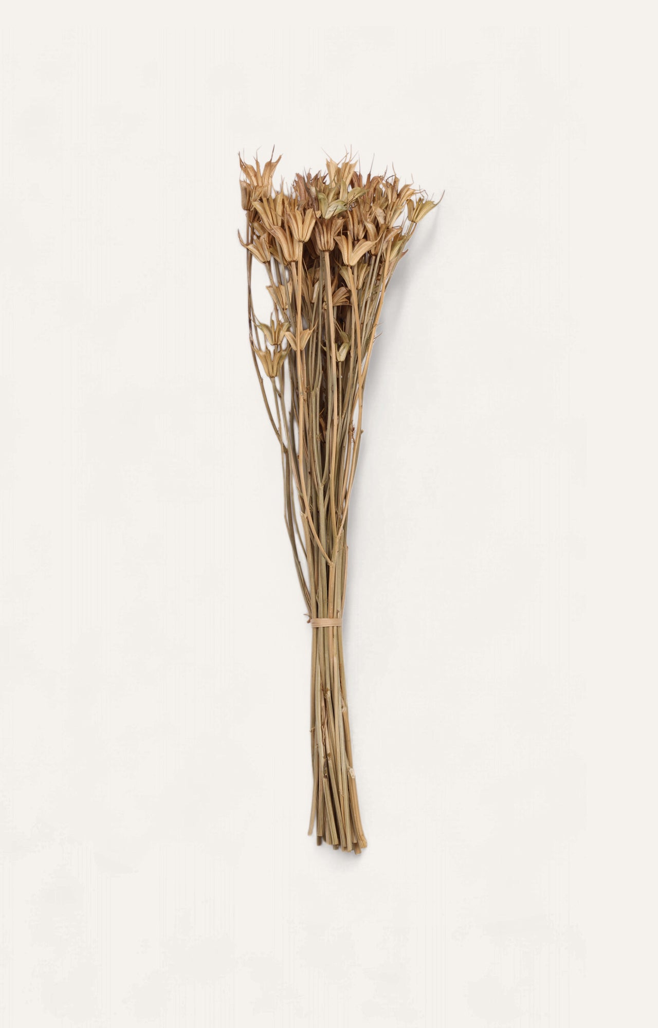 Oneiro Natural Dried Flower Bouquet