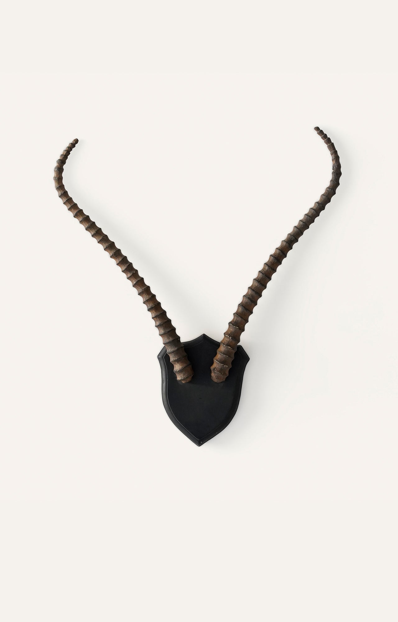 Wall-Mounted Deer Antlers