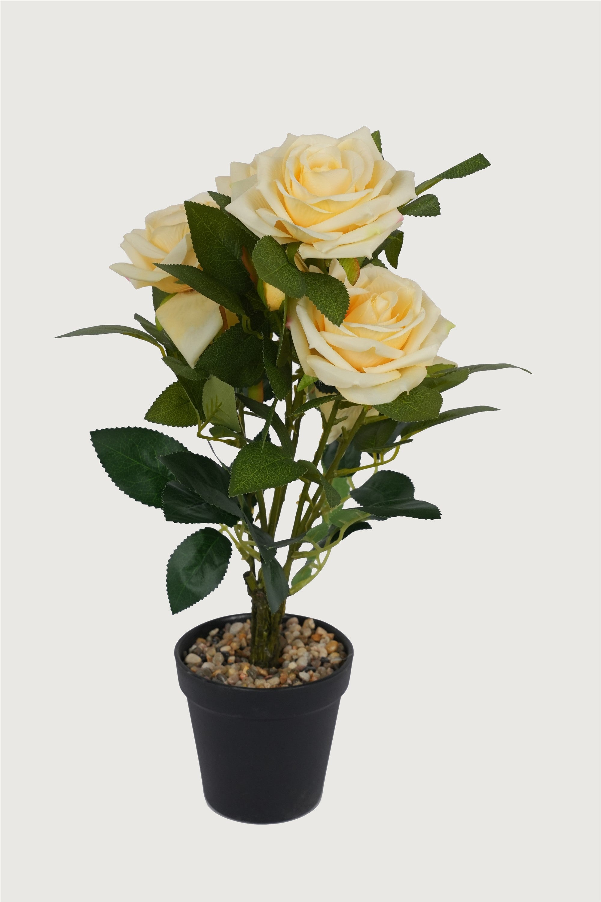 Cream Rose Stem Bundle
