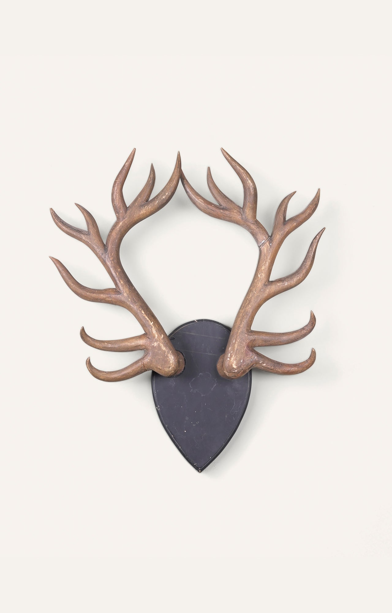 Wooden Mounted Deer Antlers