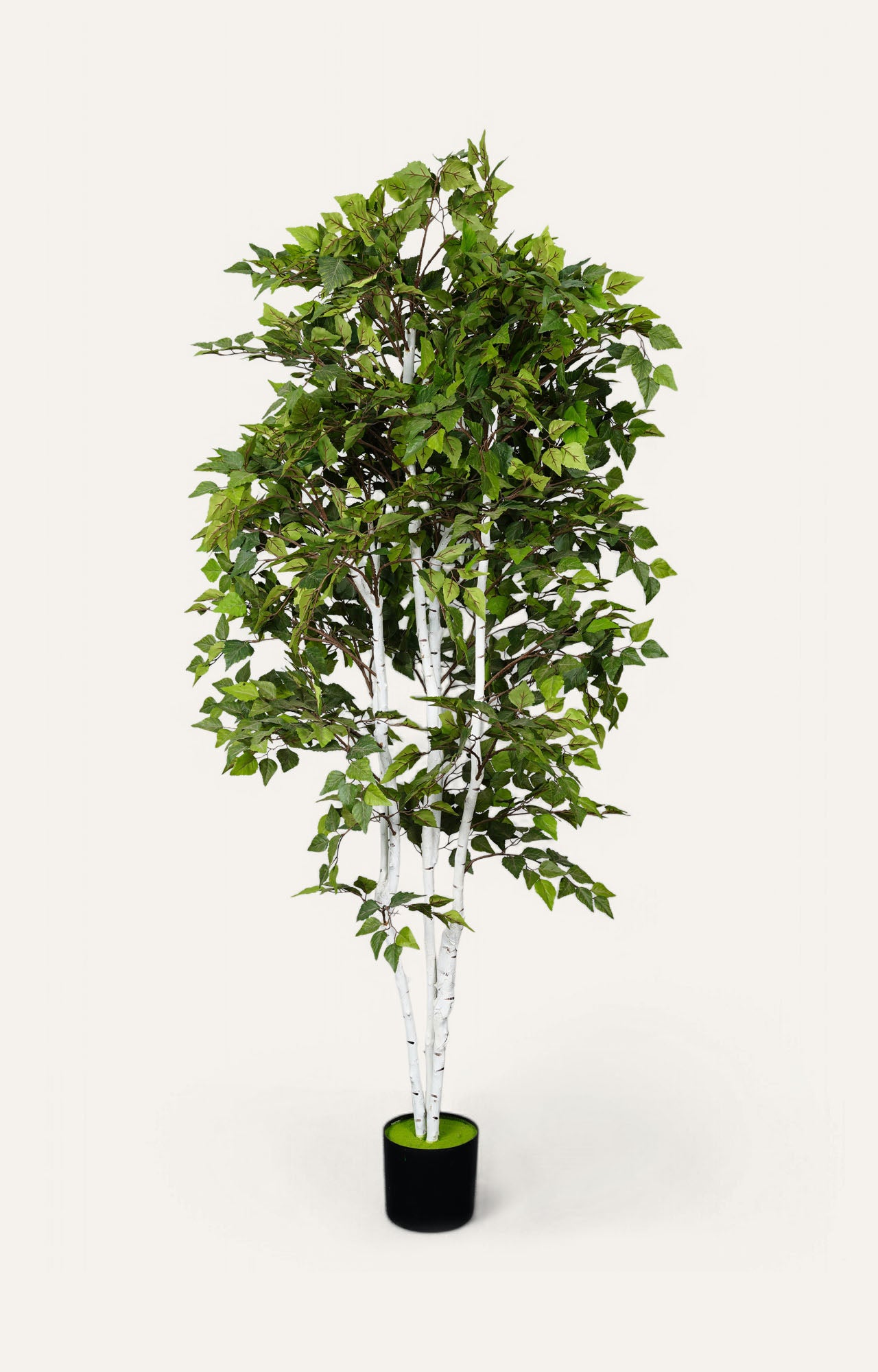 Faux Birch Tree Planter - White
