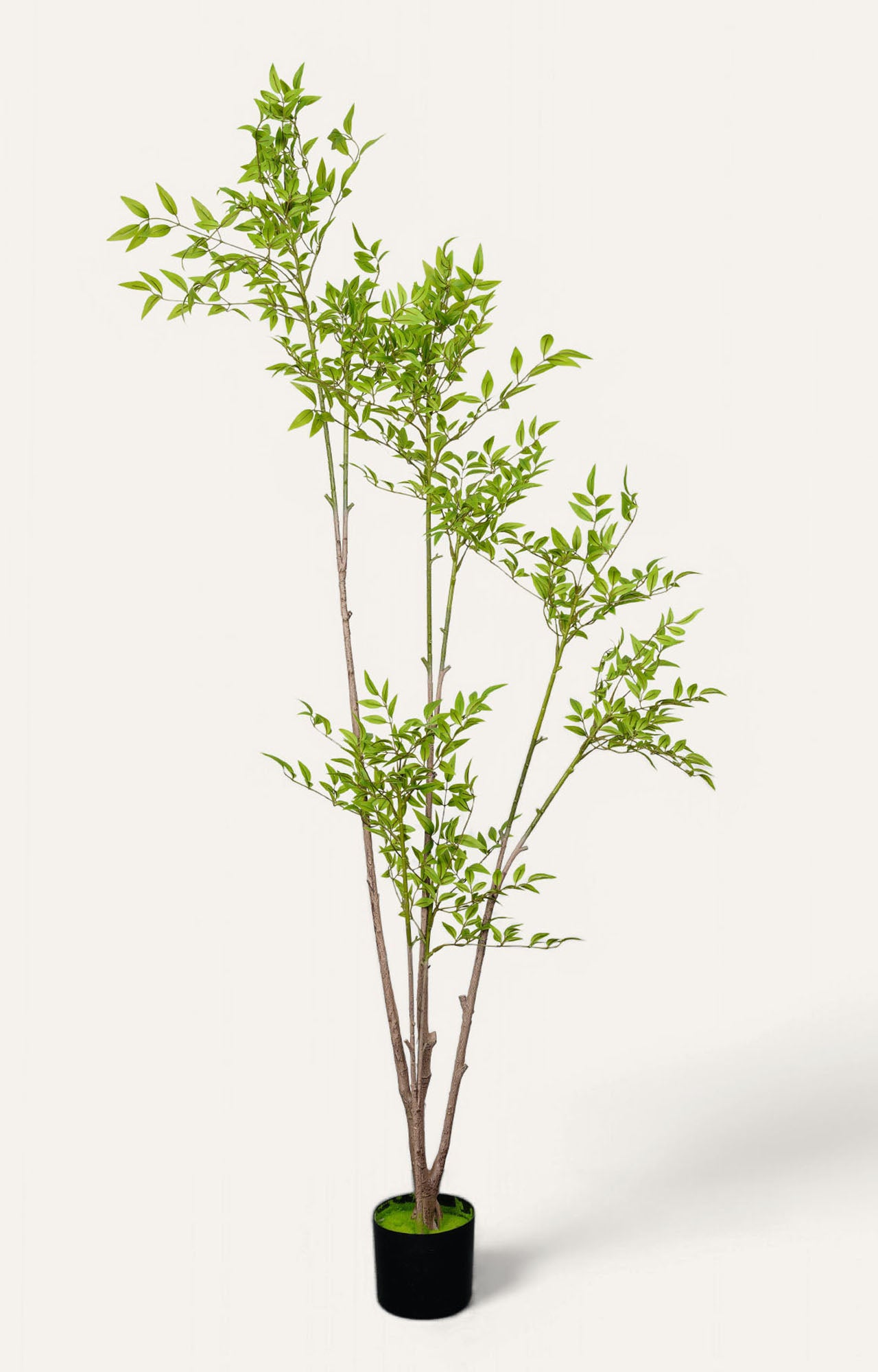 Artificial Birch Leaf Plant – 6 Feet