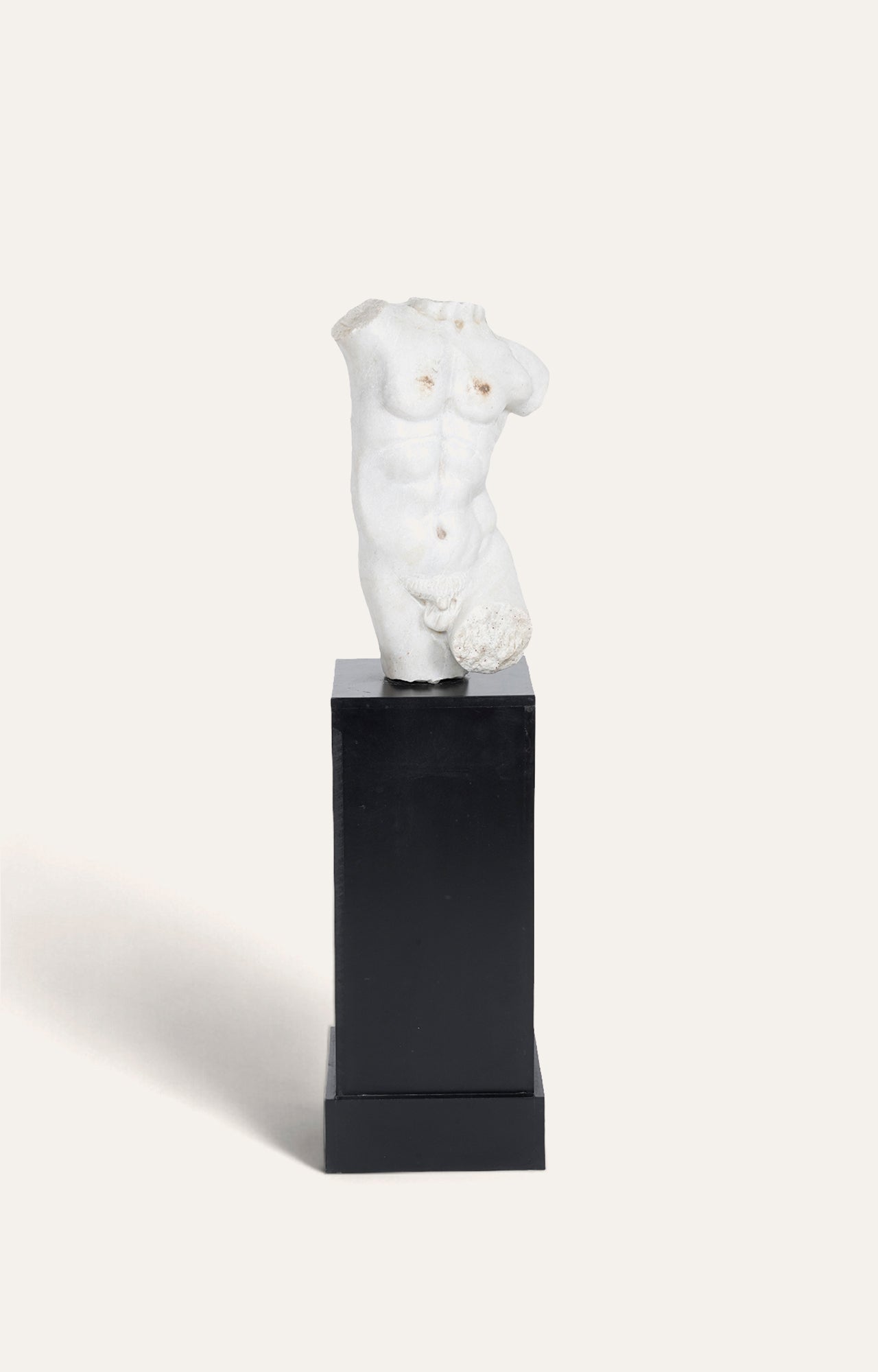 Classic statue - Renaissance Art - David's torso