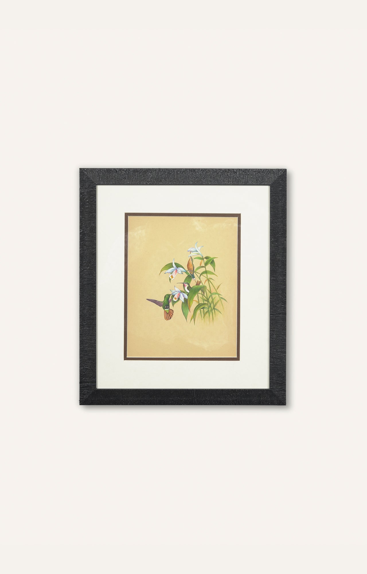 Handpainted Hummingbird on white Hibiscus Flower - Framed