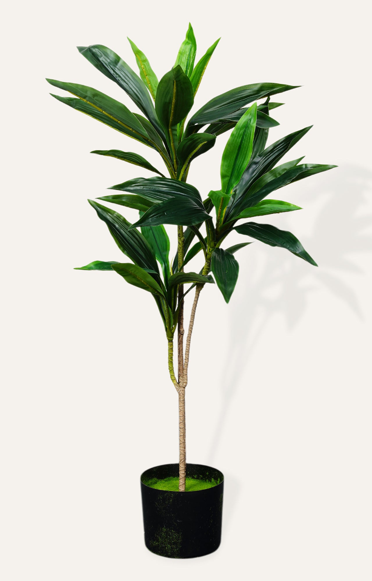 Artificial Dracaena Corn Plant – 3 Feet