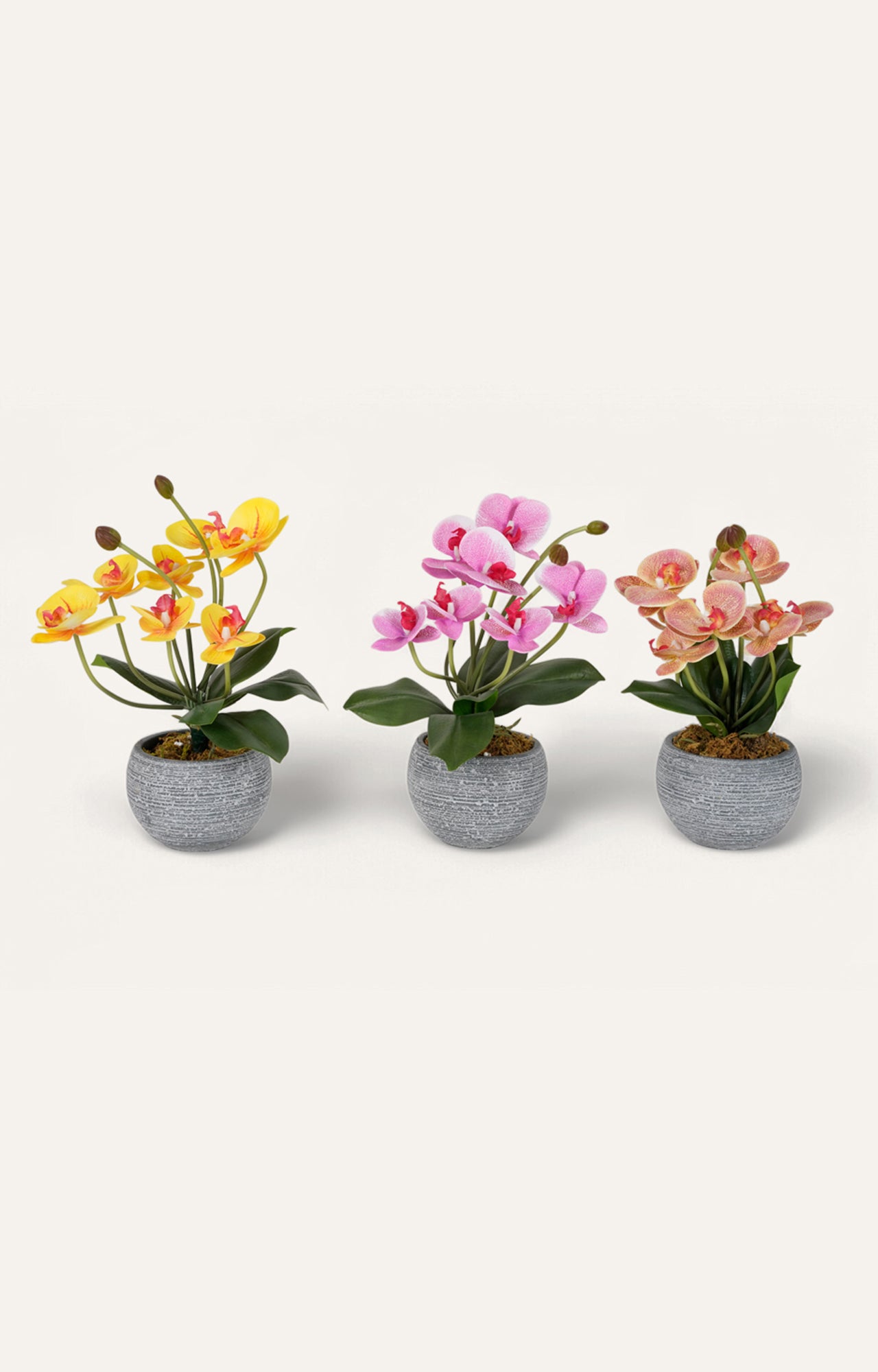 Artificial Blooming Orchid Trio – Set of 3