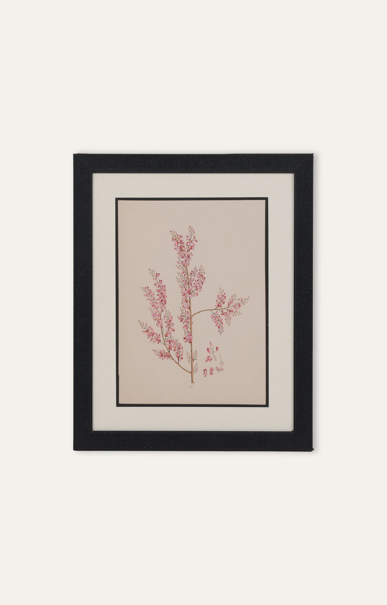 Watercolor Blossom Japanese flower branches floral art