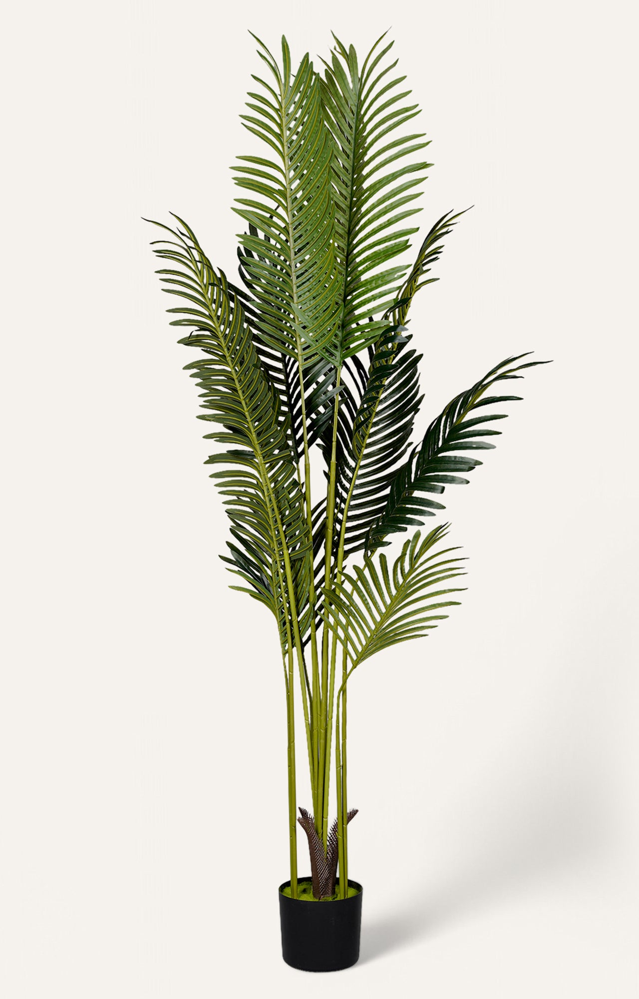 Artificial Green Palm Tree - 6.5 Feet
