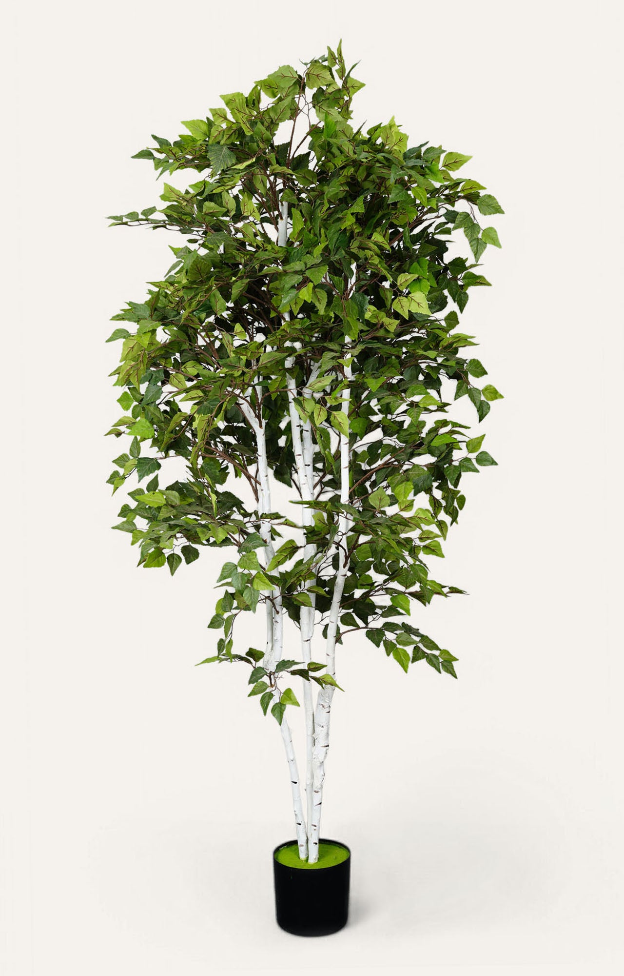 Artificial Birch Leaf Tree – 7 Feet