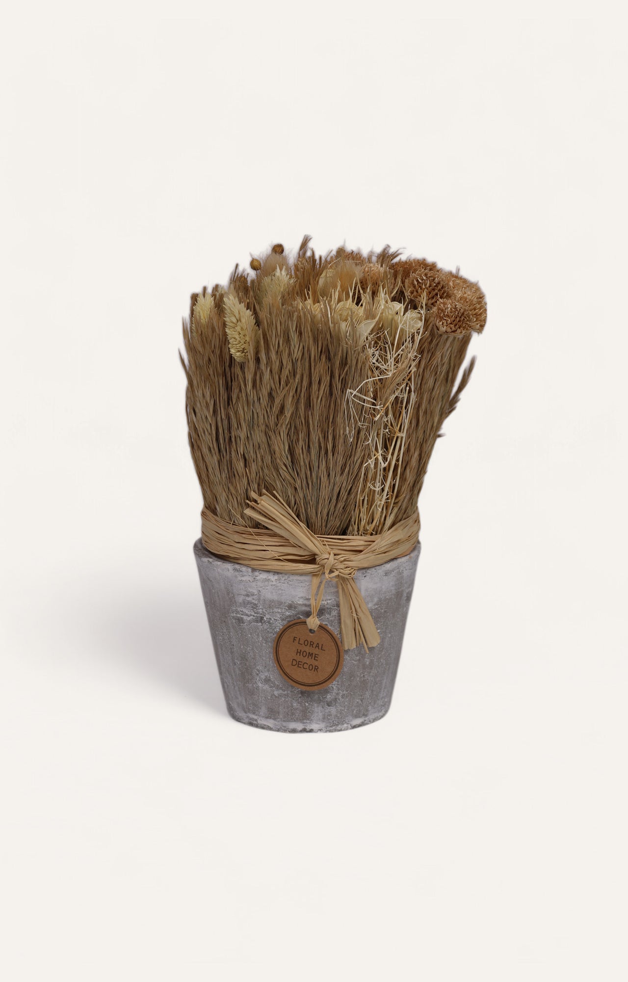 Fusi Dried Flower Cement Pot