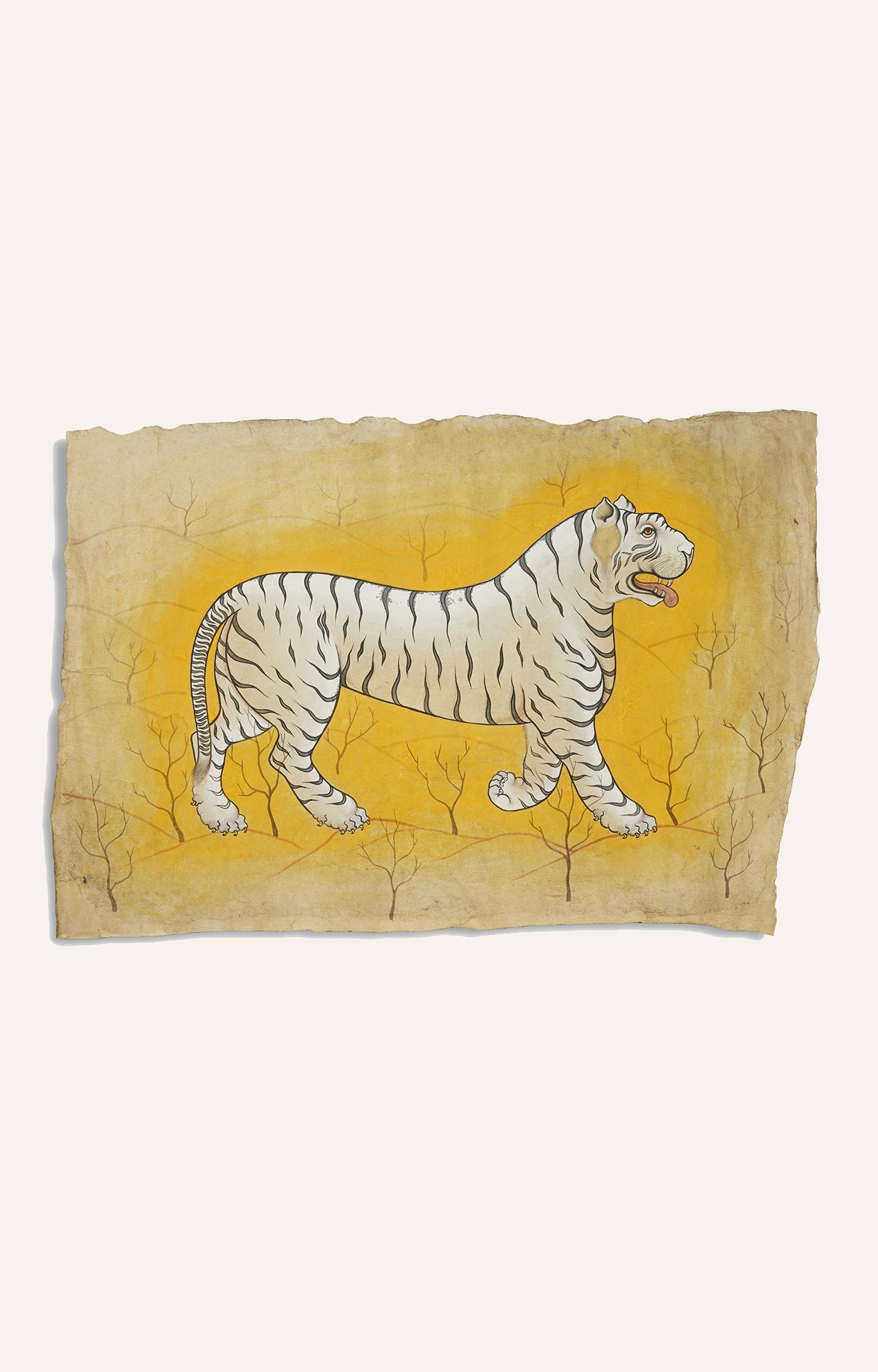 Indian White Tiger Wildlife Animal Watercolor Art