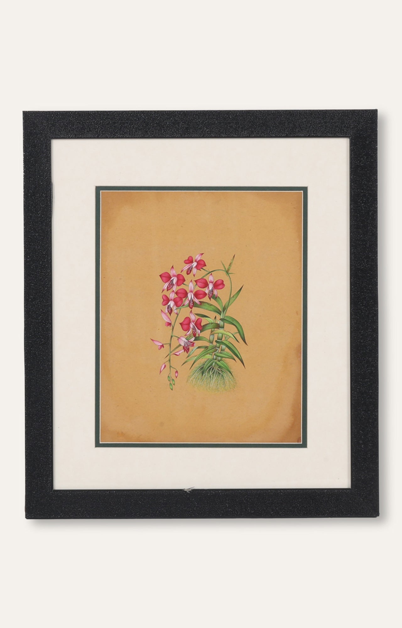 Orchid Miniature Painting