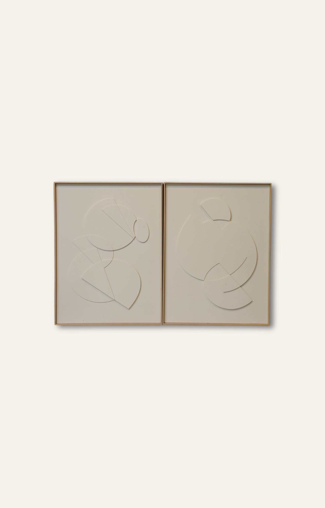 Set of 2 Illusion 3D Sculpture Wall Art Relief on Canvas