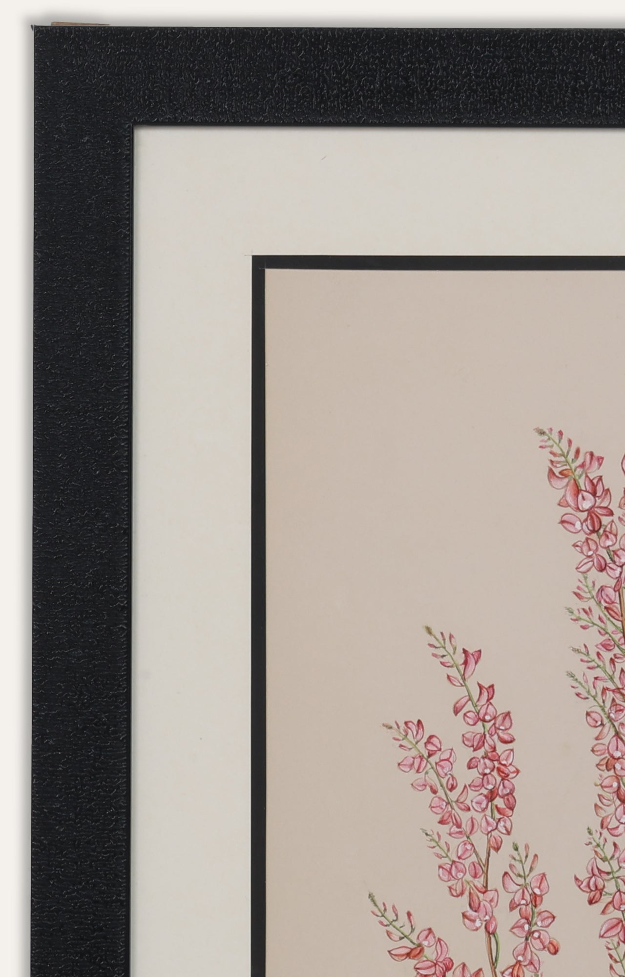 Botanical Japanese Flower