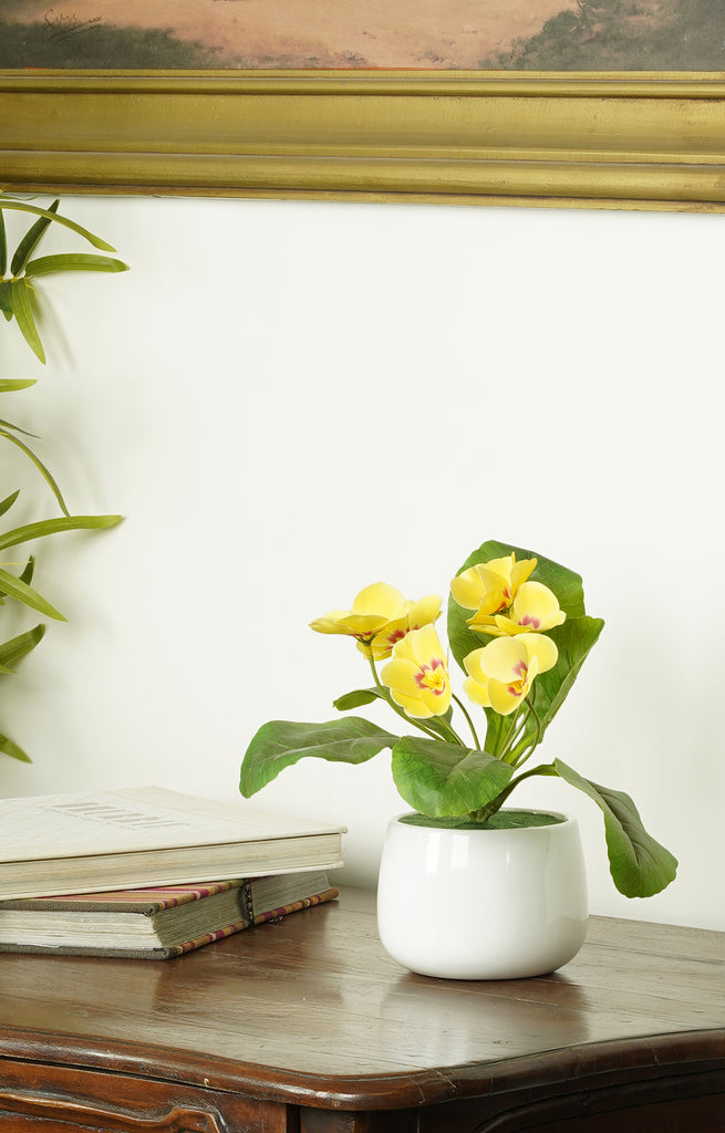 Artificial Primrose Flowers in White Pots 