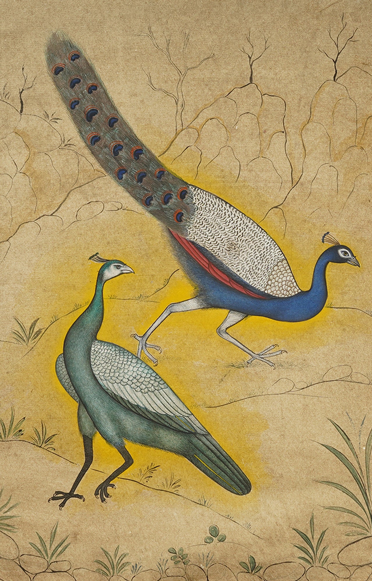 Handmade Rajasthani Peacock Painting