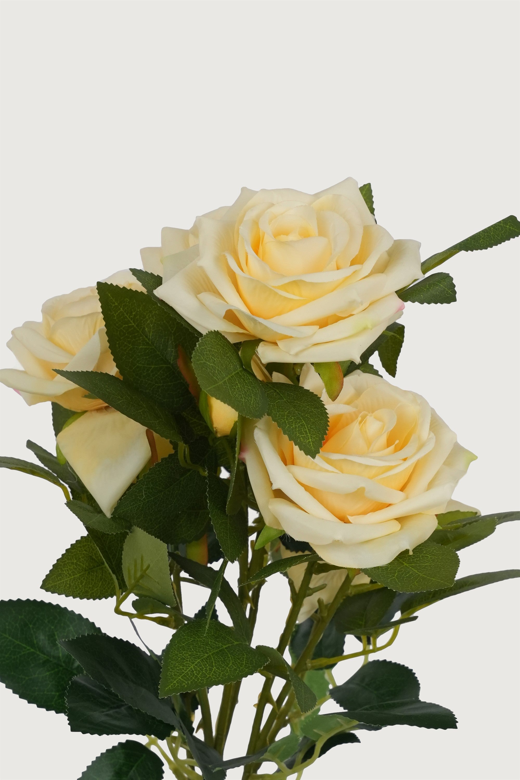 Cream Rose Stem Bundle