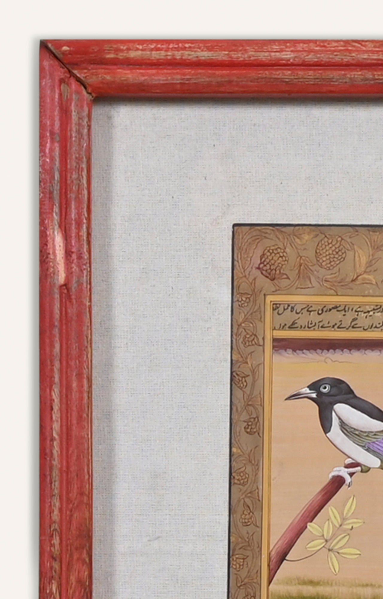 Handmade Indian Mughal Botanical Miniature Watercolor Bird Art Painting