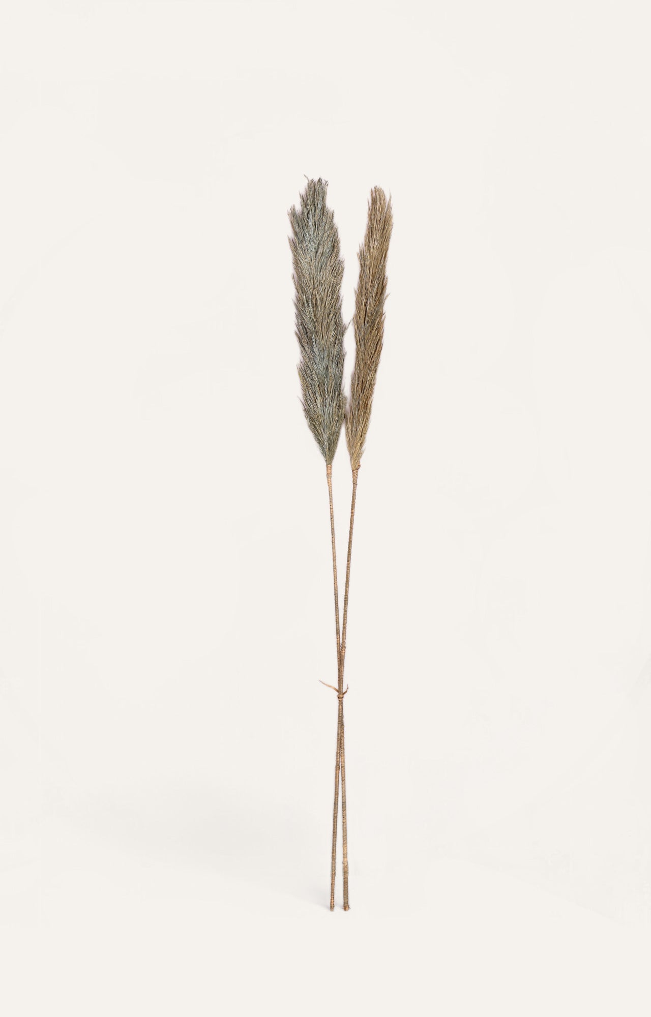 Charis Grey Feather Grass Deco Stick