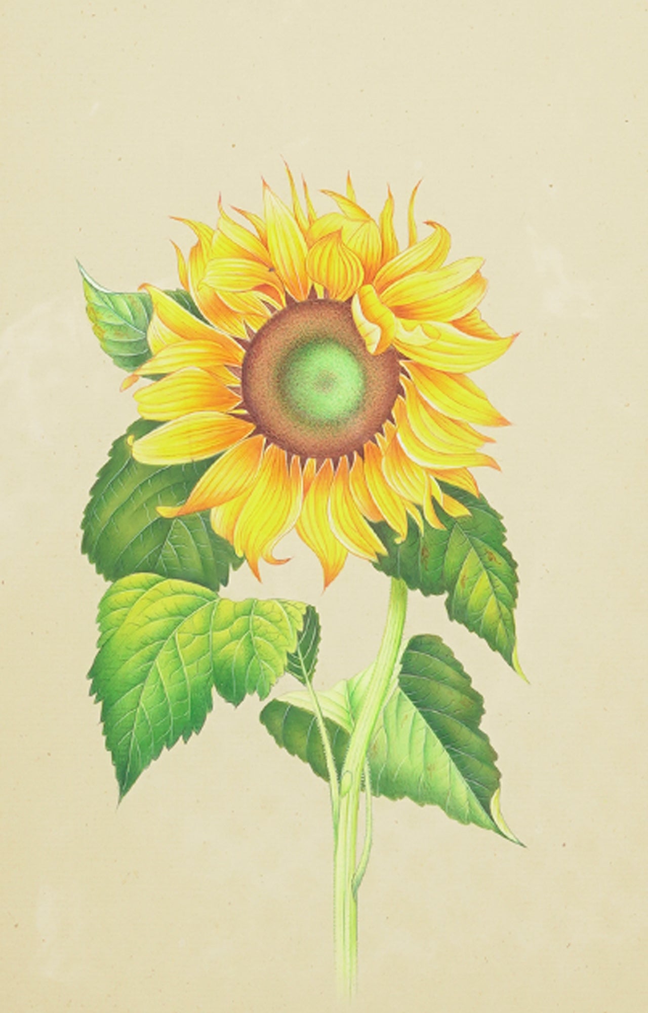 Hand-Painted Sunflower Artwork in Black Frame