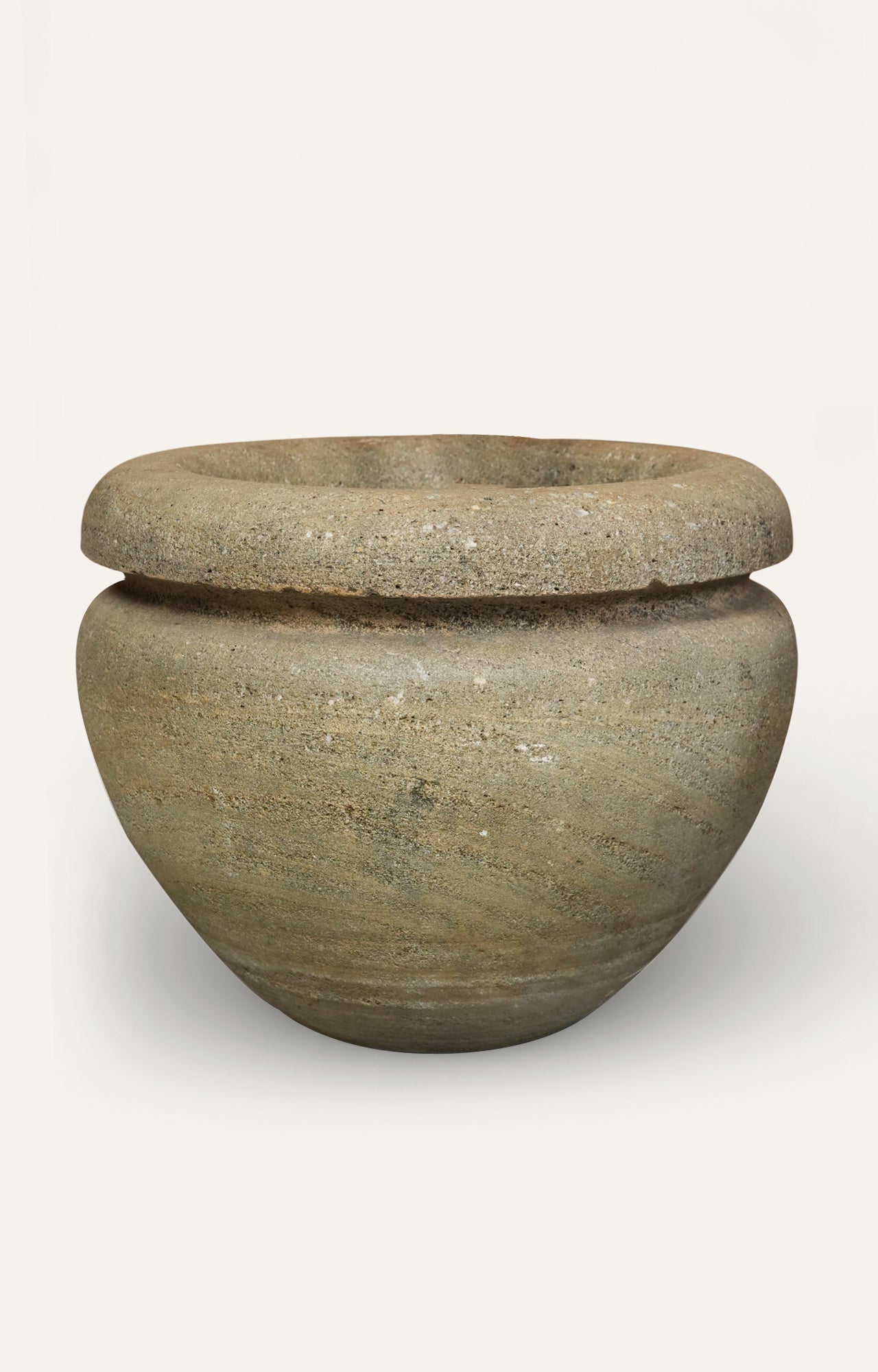 Ficus Elastica Burgundy in Textured Stoneware Pot