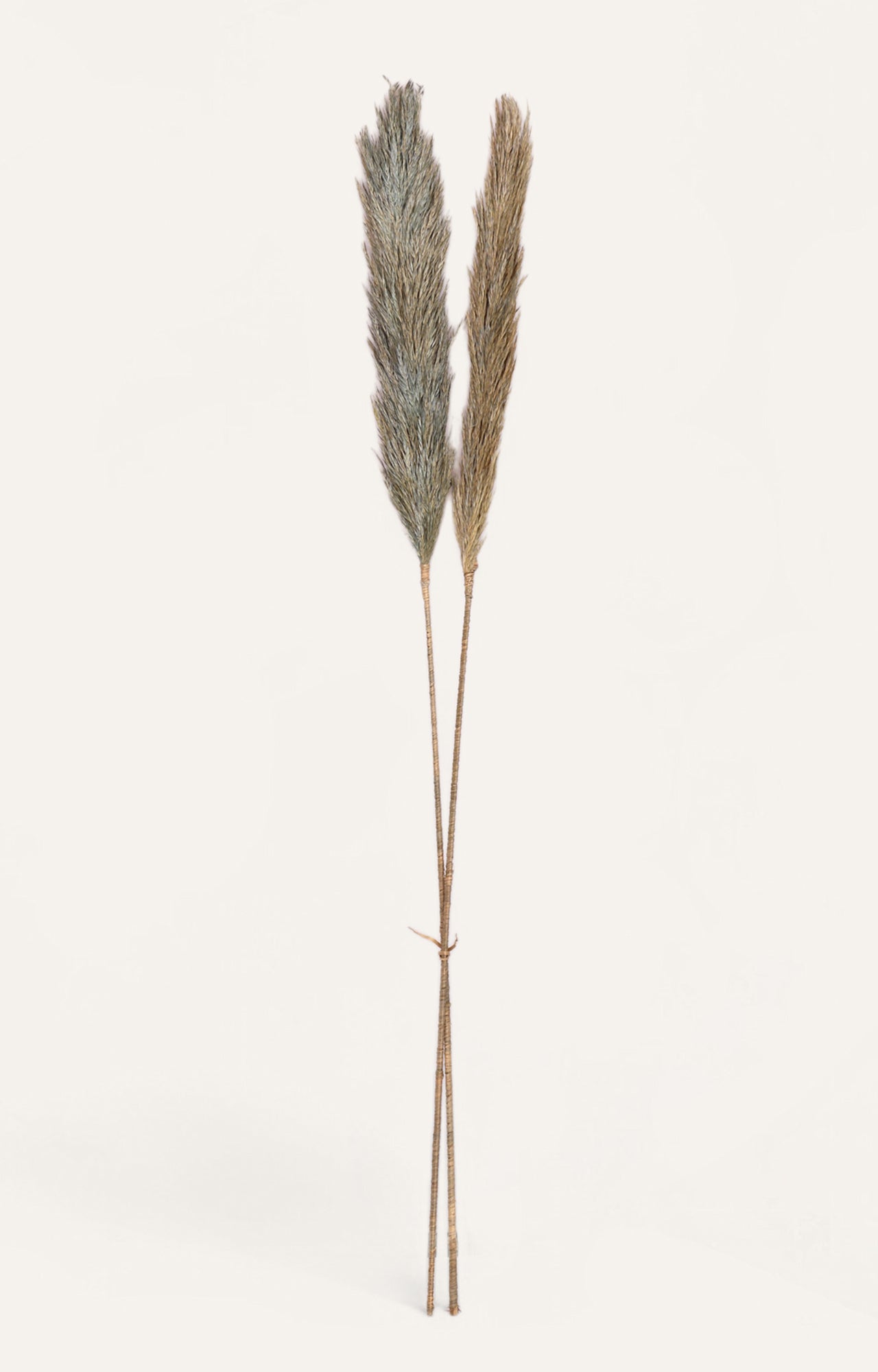 Charis Grey Feather Grass Deco Stick