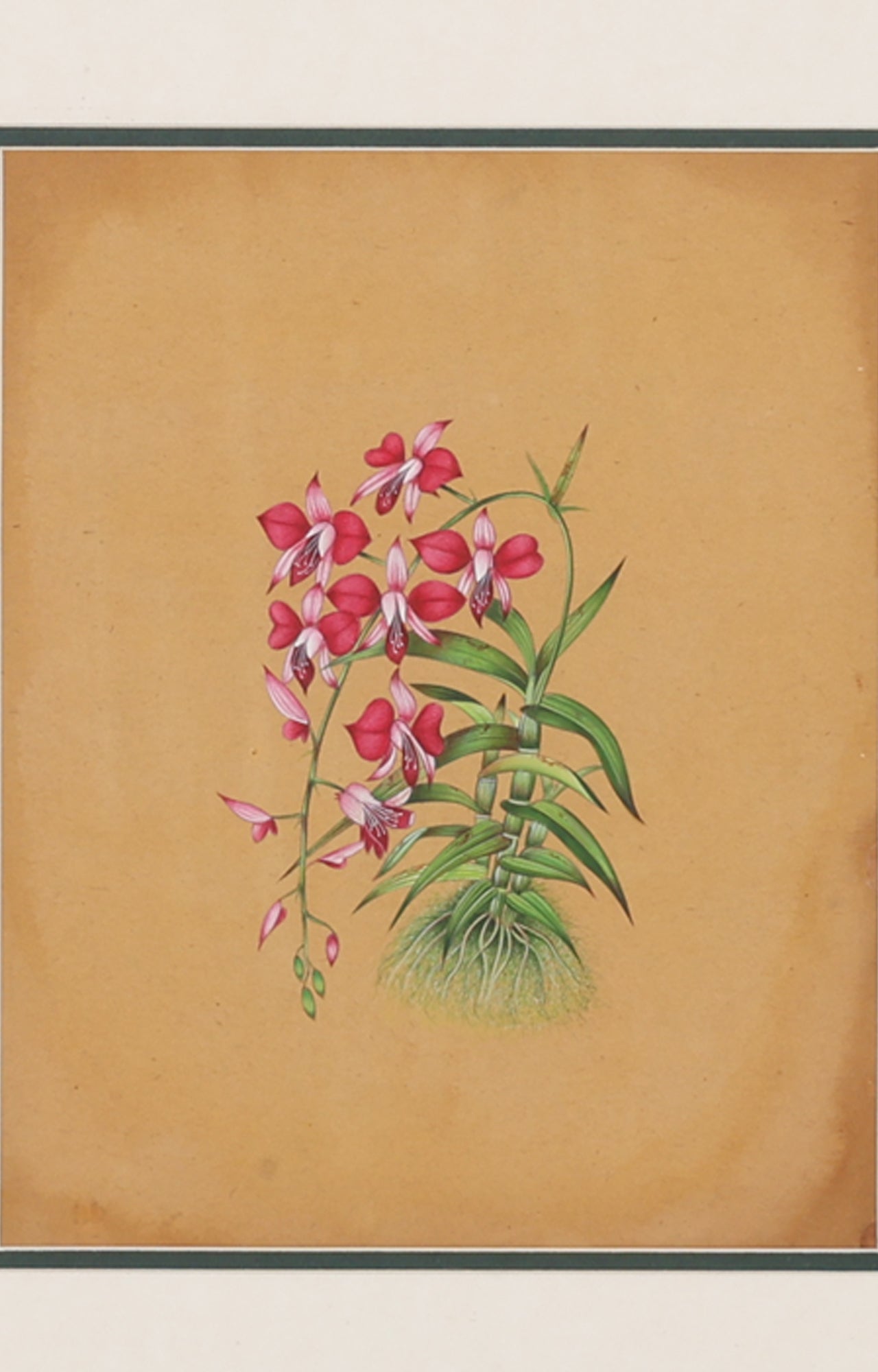 Orchid Wooden Framed Floral Painting