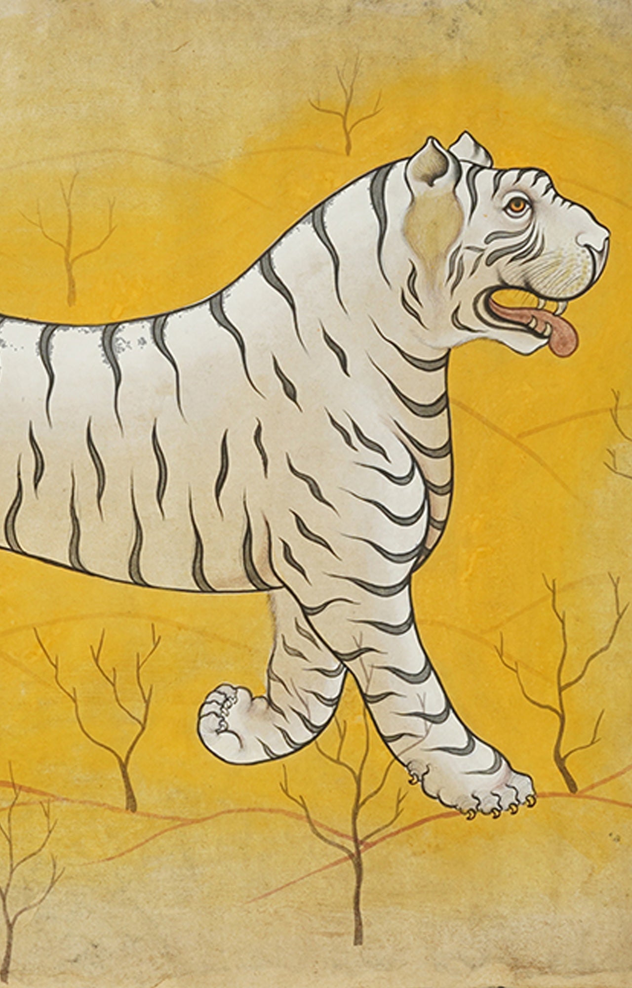 Indian White Tiger Wildlife Animal Watercolor Art