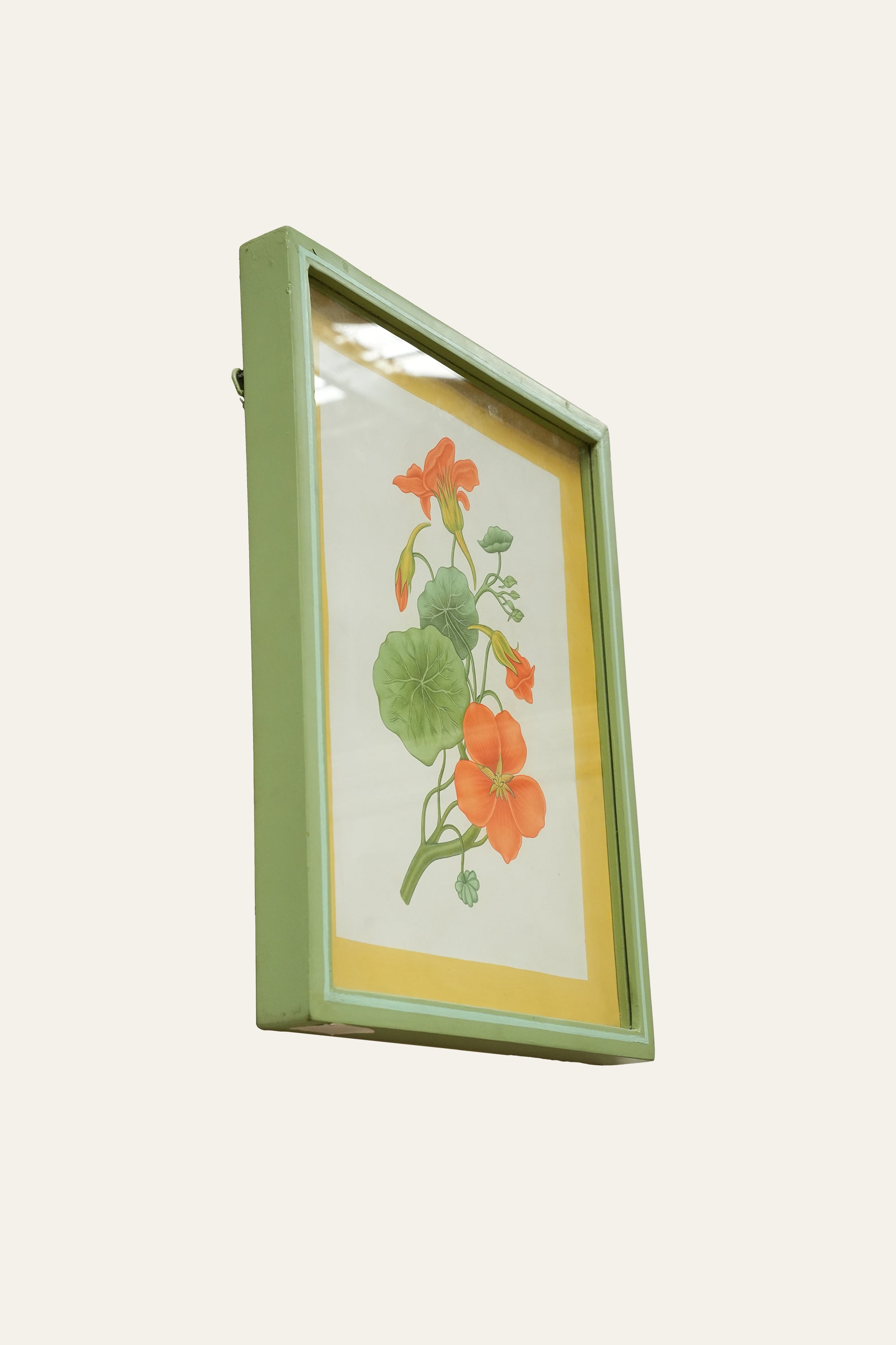 Indian Cress Botanical Art