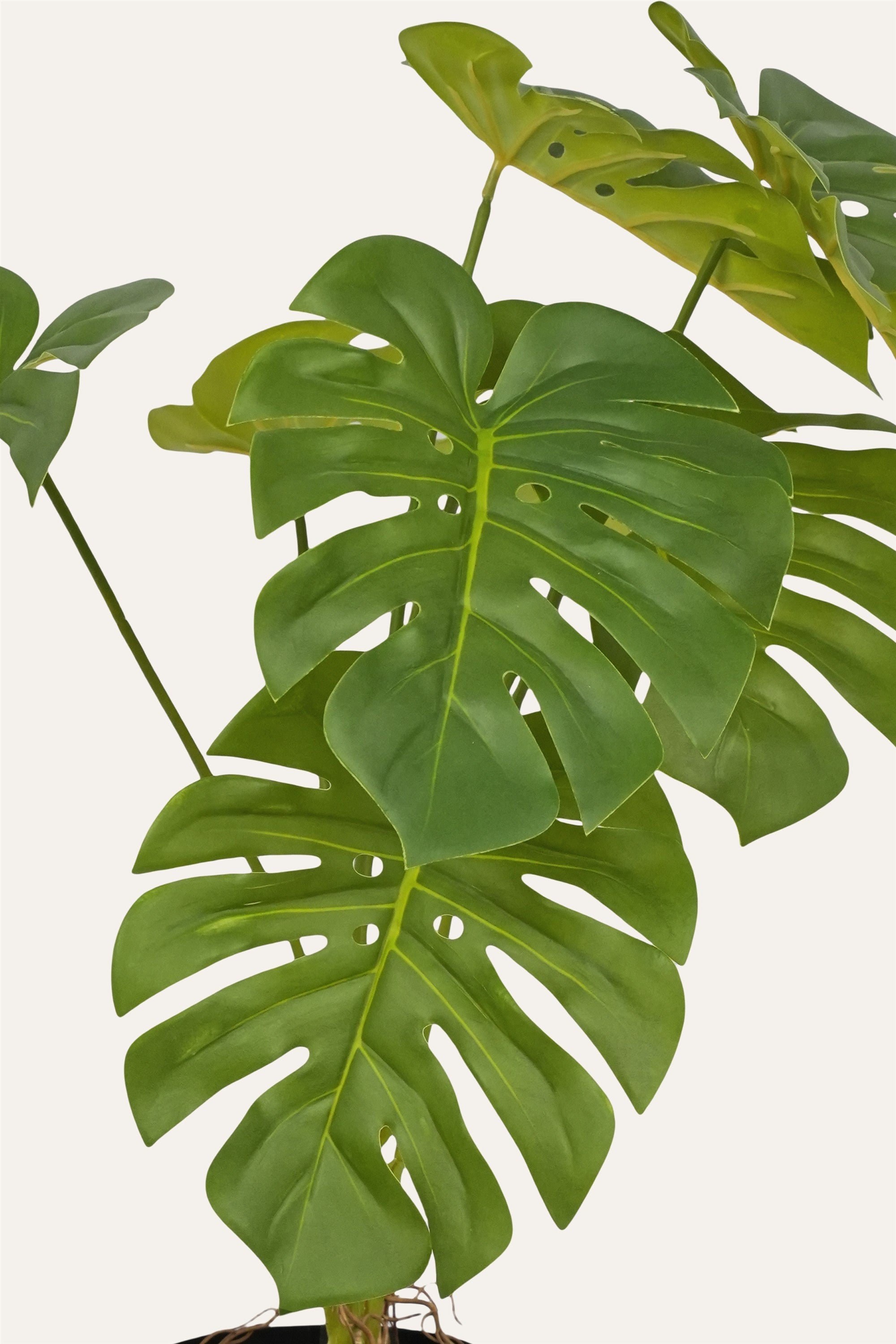 Monstera Artificial Plant - Big