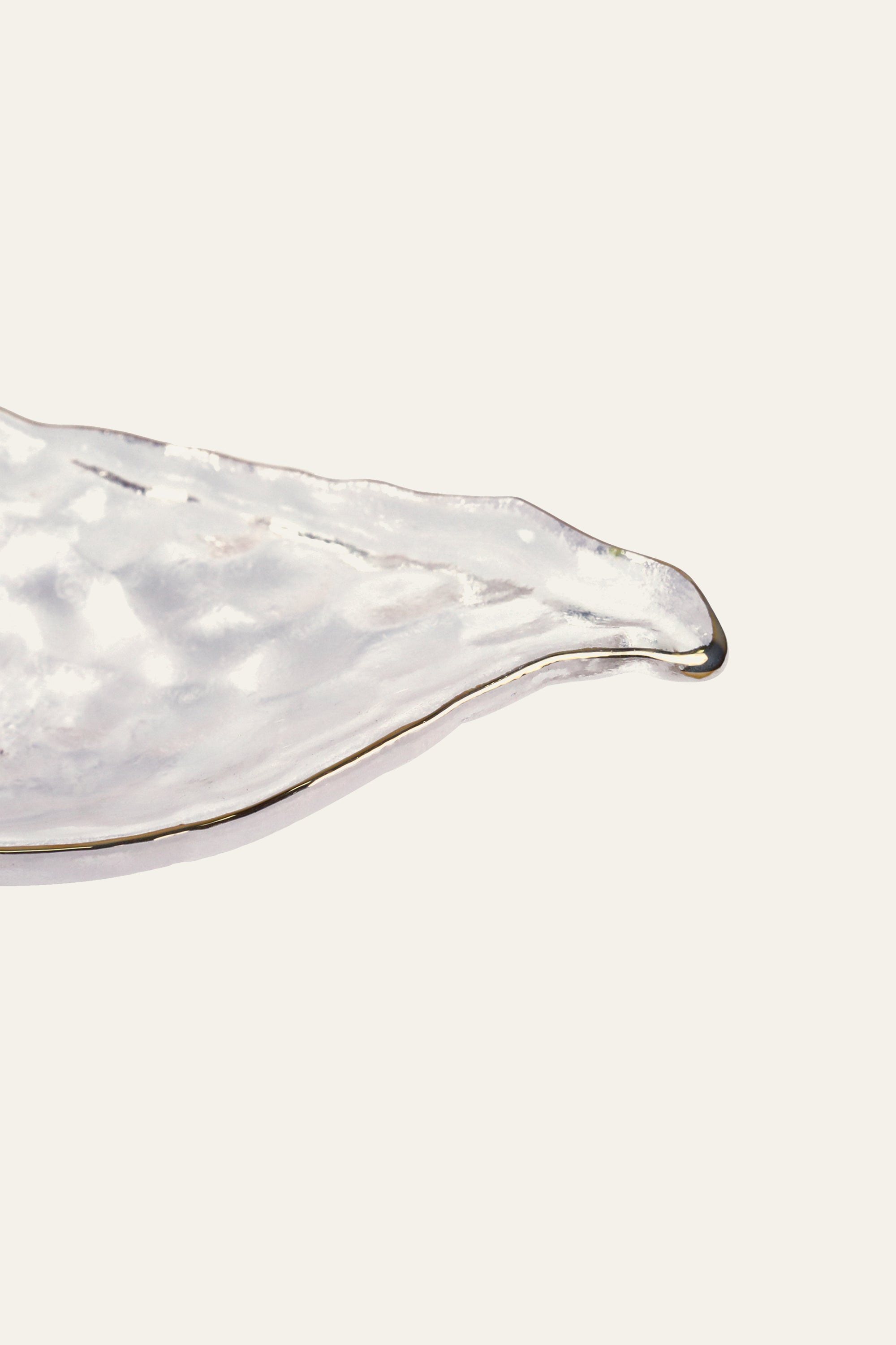 Leaf-Shaped Textured Glass Serving Platter – Sushi & Appetizer Tray
