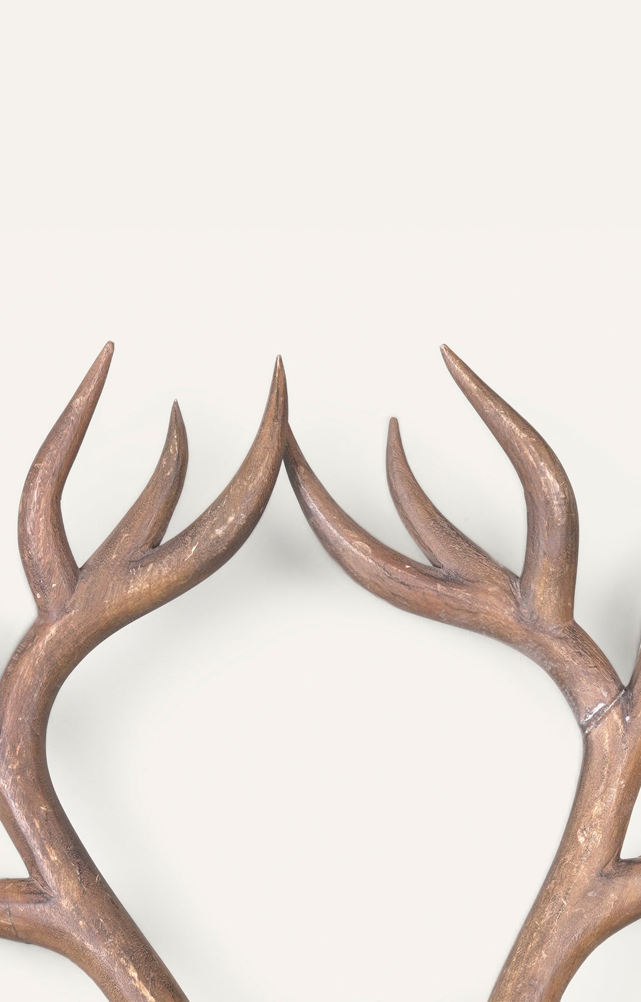 Wooden Mounted Deer Antlers