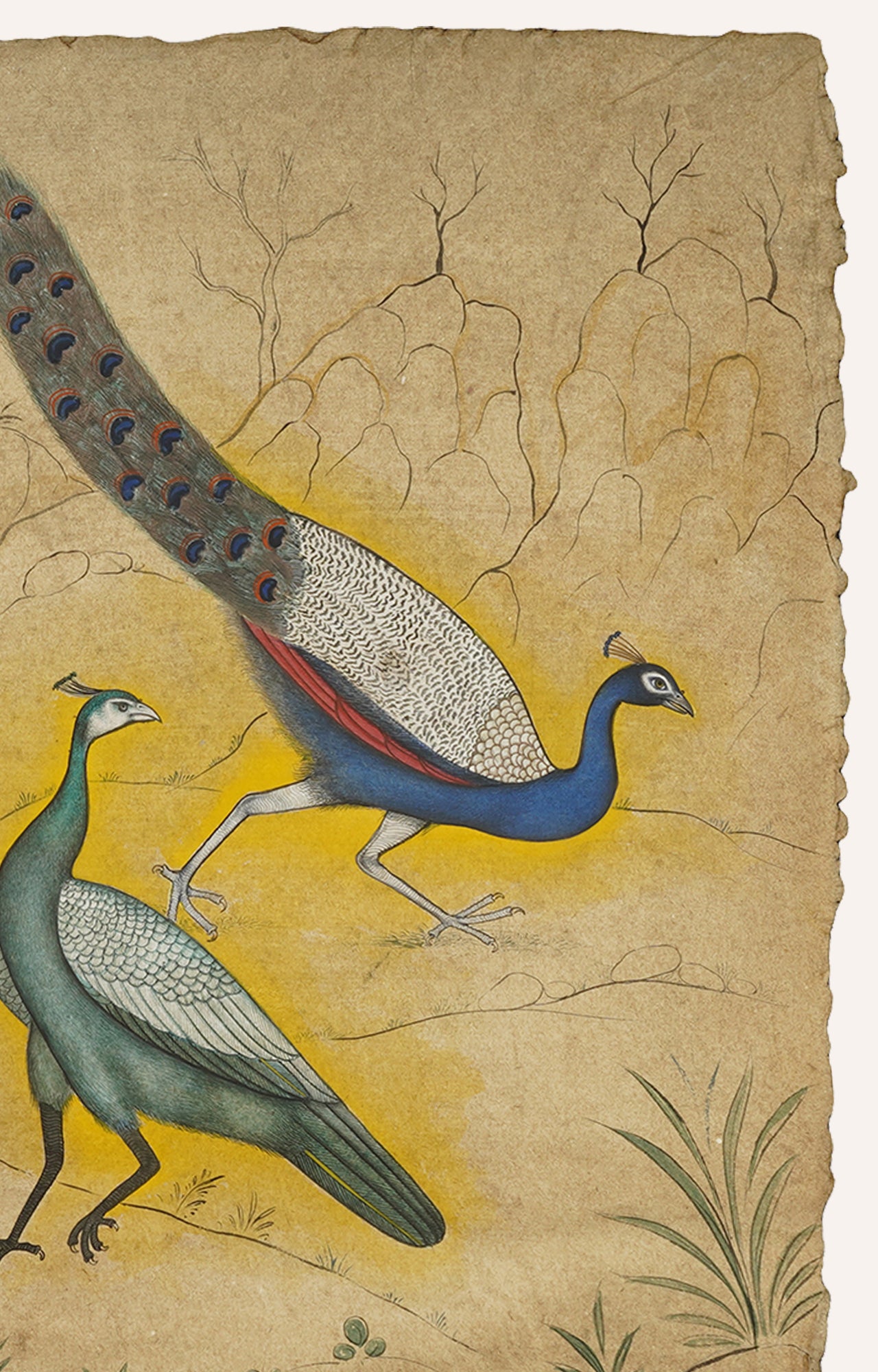 Handmade Rajasthani Peacock Painting