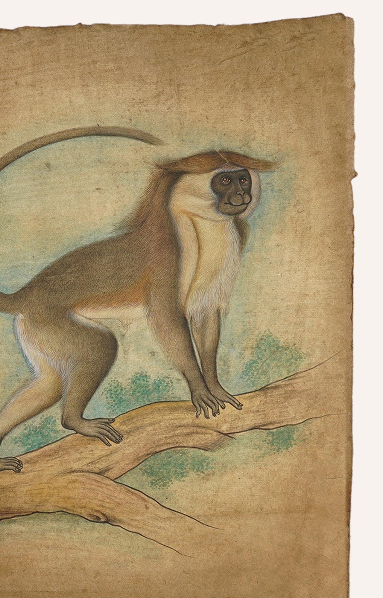 Rajasthani Handmade Monkey Painting