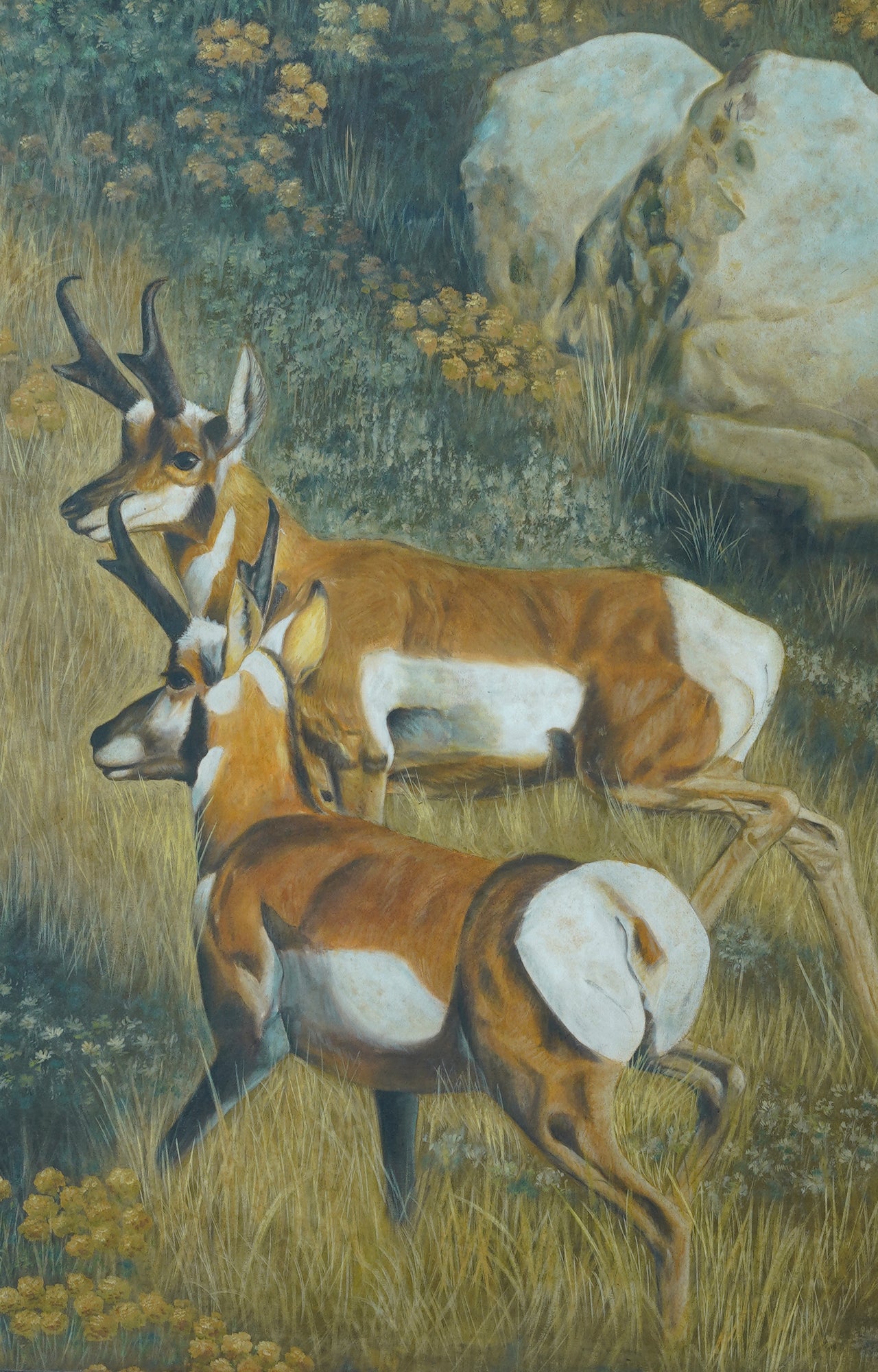 Two Pronghorns in nature oil painting on canvas with wooden frame