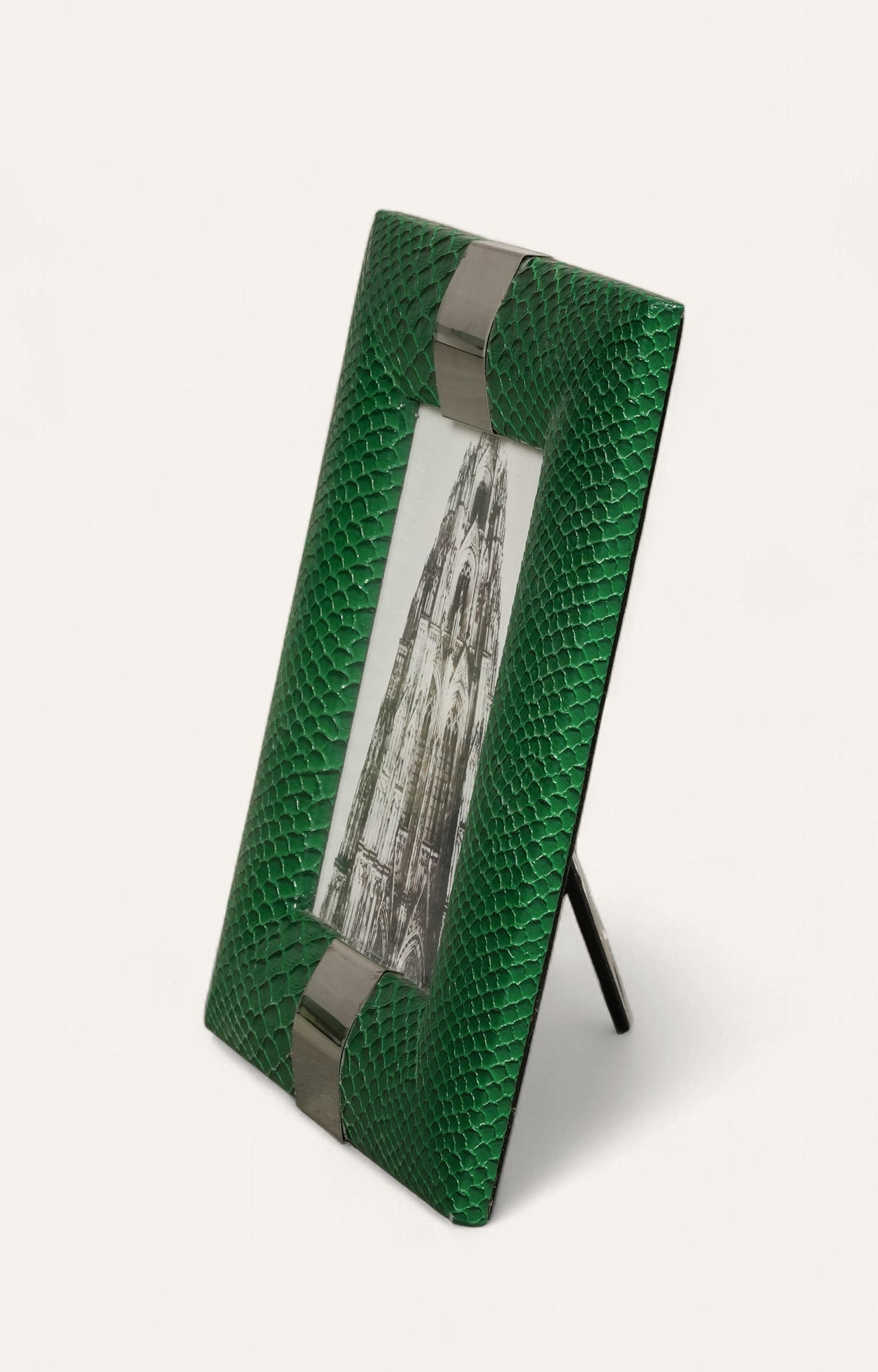 Emerald Python Duo Photo Frames - Set Of 2