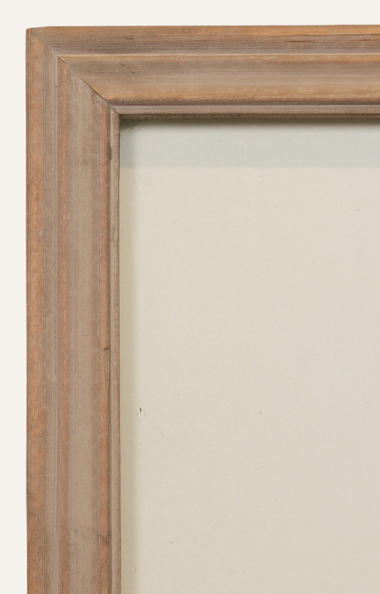 Bird Illustration Wall Art - Set Of 2