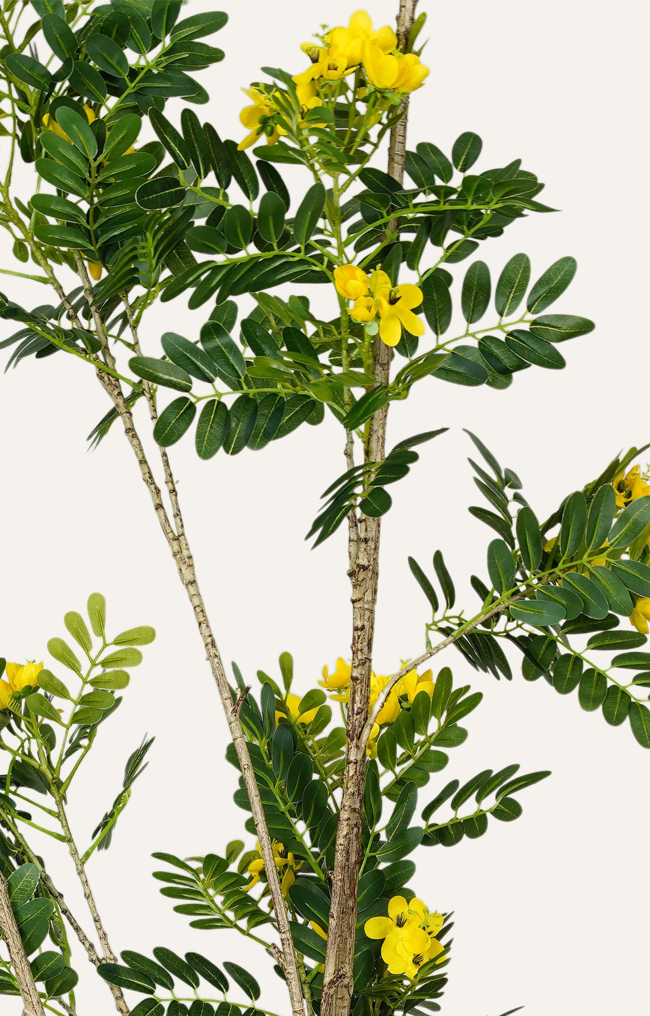 Cassia Bloom Tree Planter - Yellow