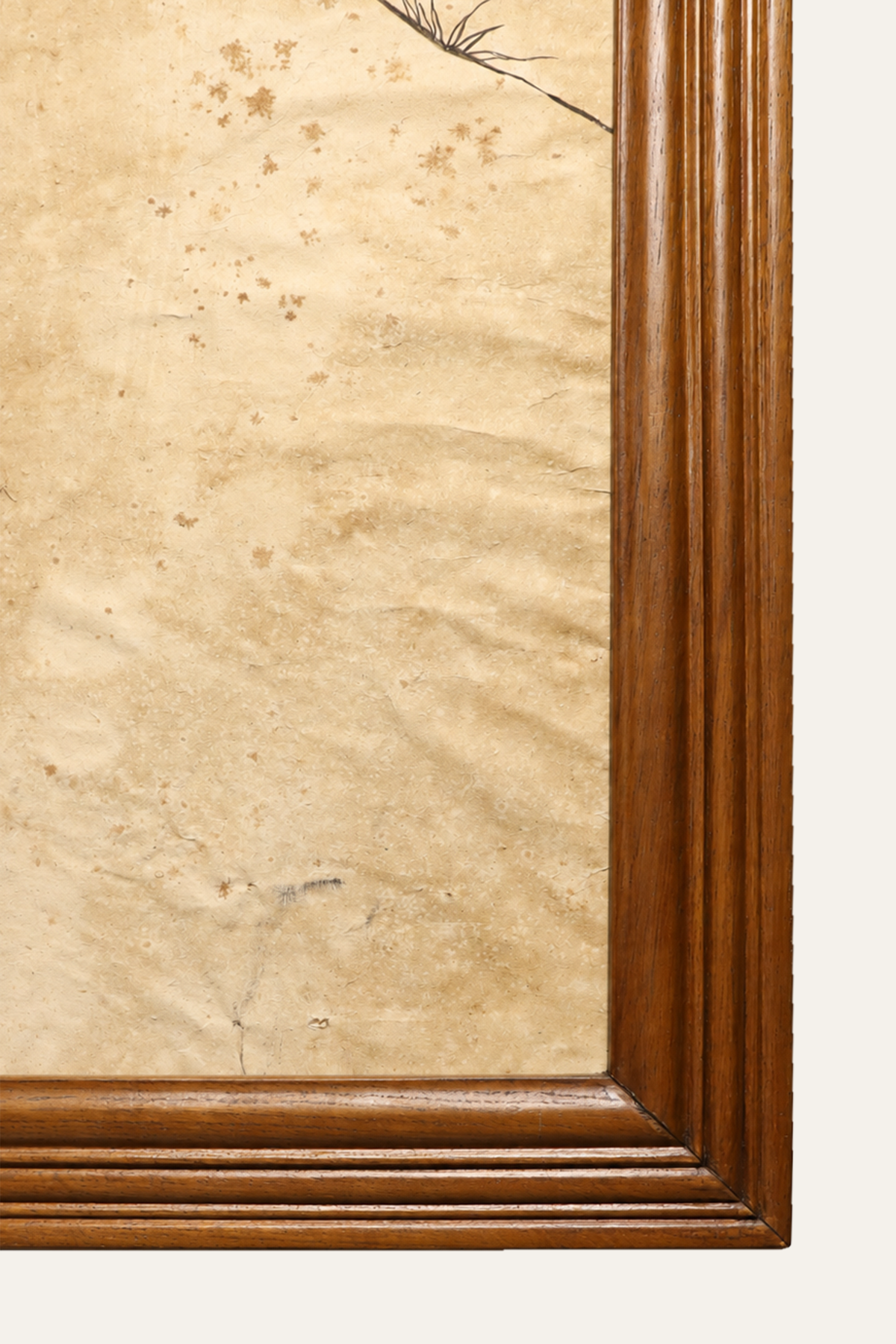 Eagle in Flight Artwork for Living Room Walls