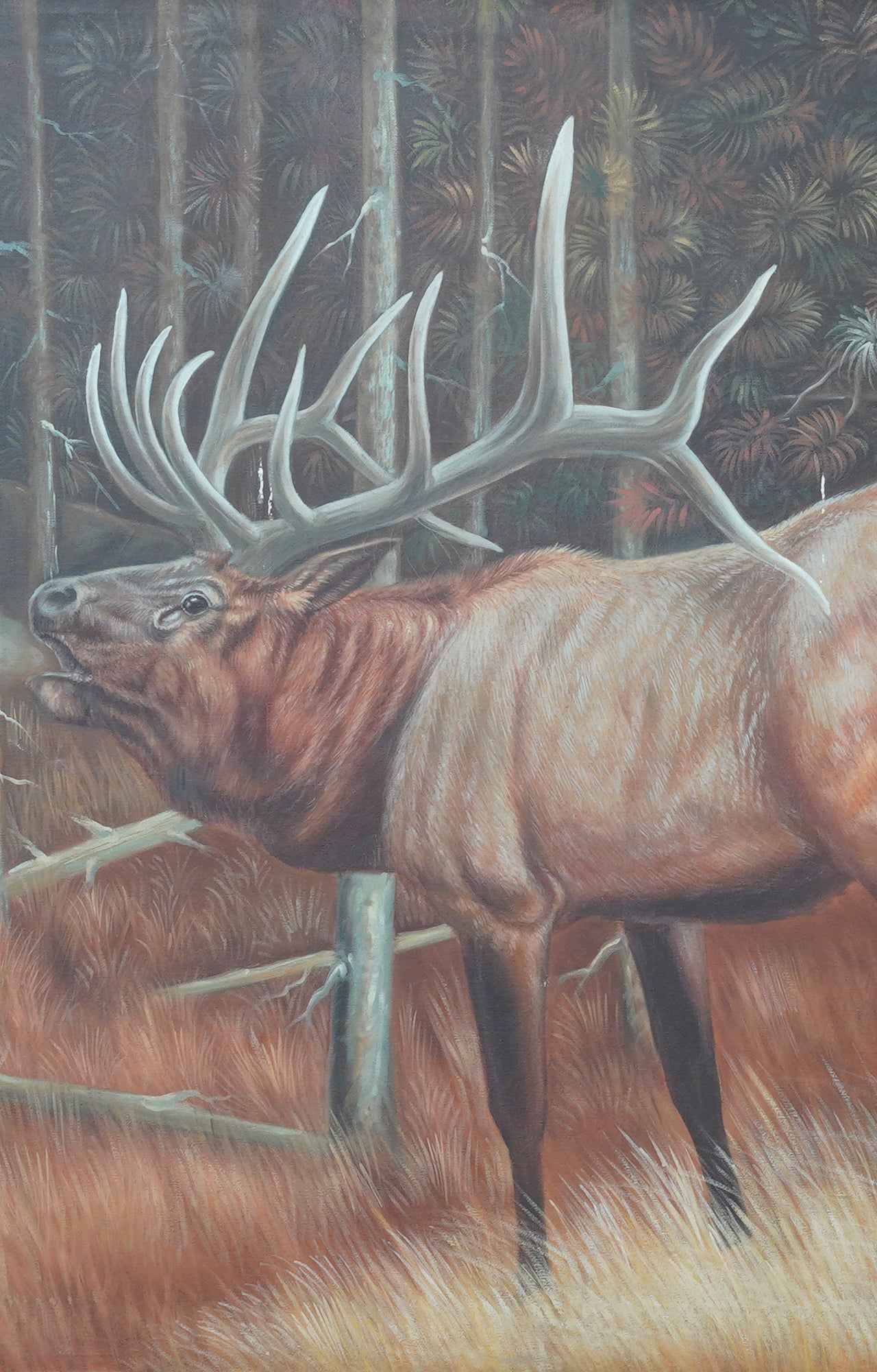 Wandering Elk by Steve Langan canvas oil painting with wooden frame