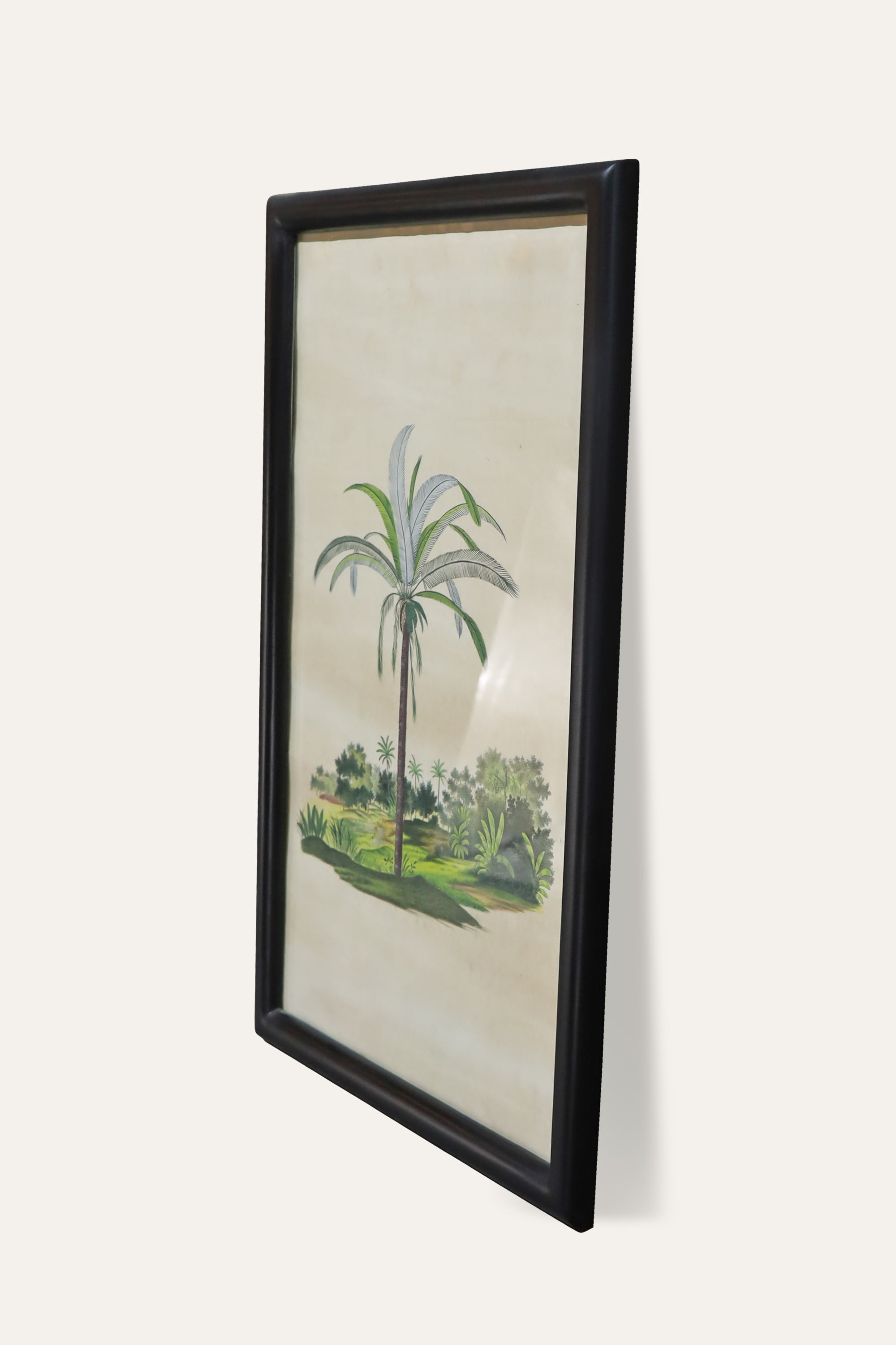 Palm Tree Botanical Print for Calm Living Room & Study Walls