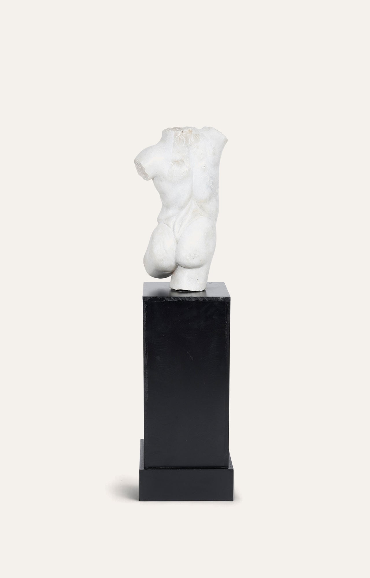 Classic statue - Renaissance Art - David's torso