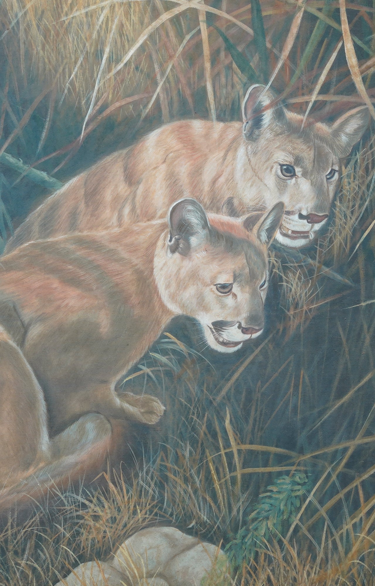 Shadows in the grass, cubs by Carl Brenders oil painting with wooden frame