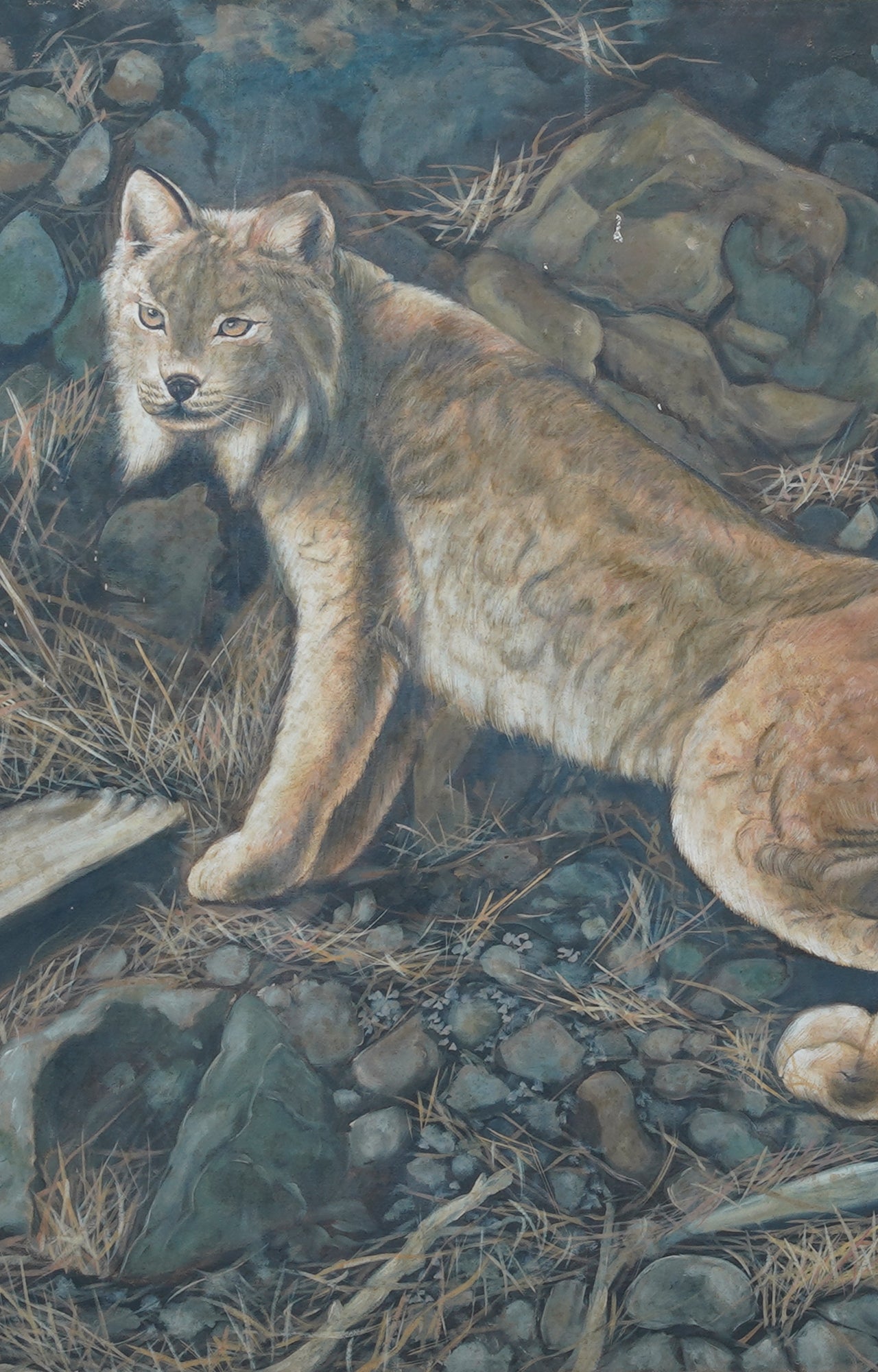 Wild Lynx Peeking Through Trees - Stunning Oil Painting 