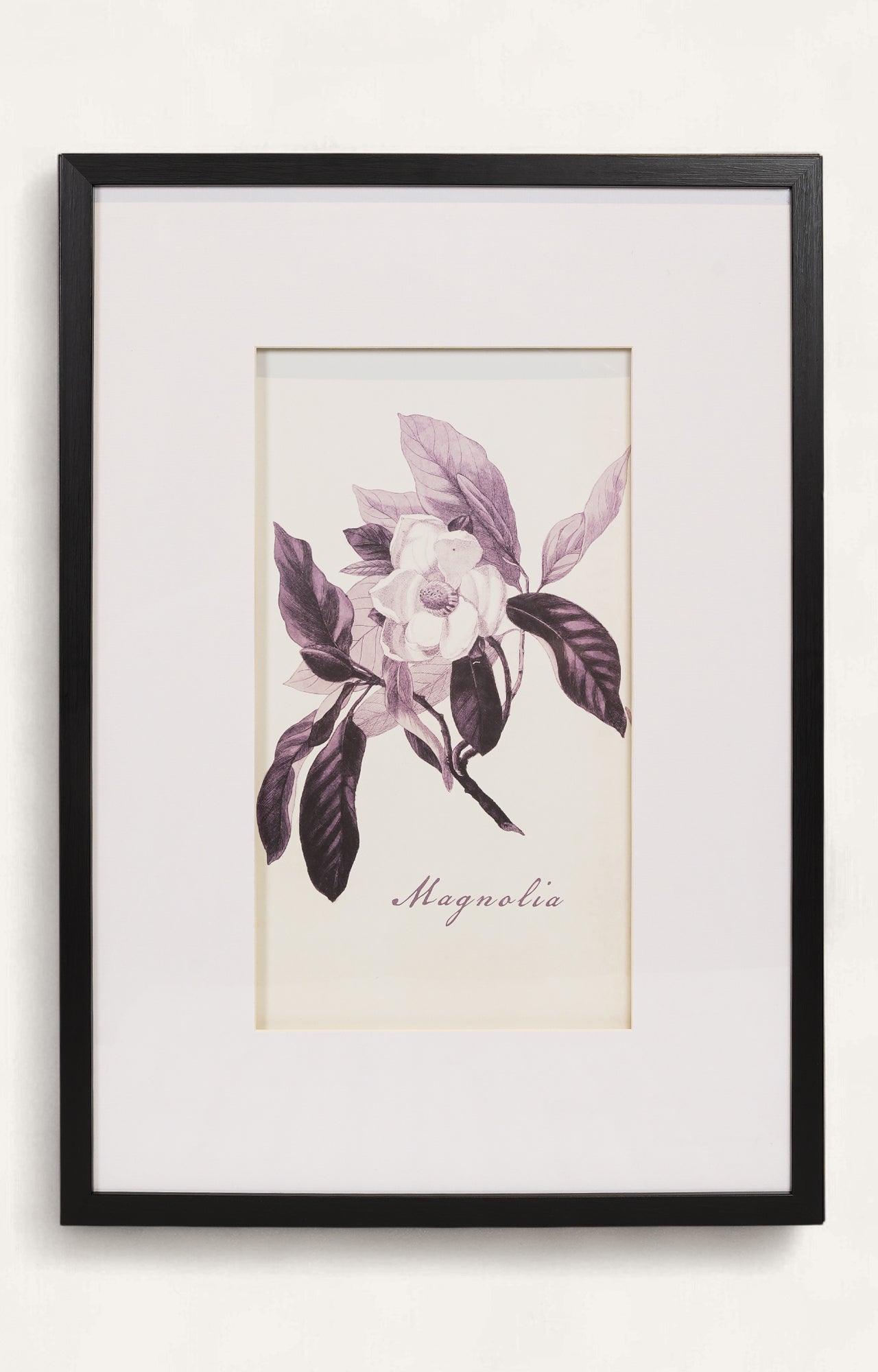 Monochrome Style Botanical Print - Set Of 4
