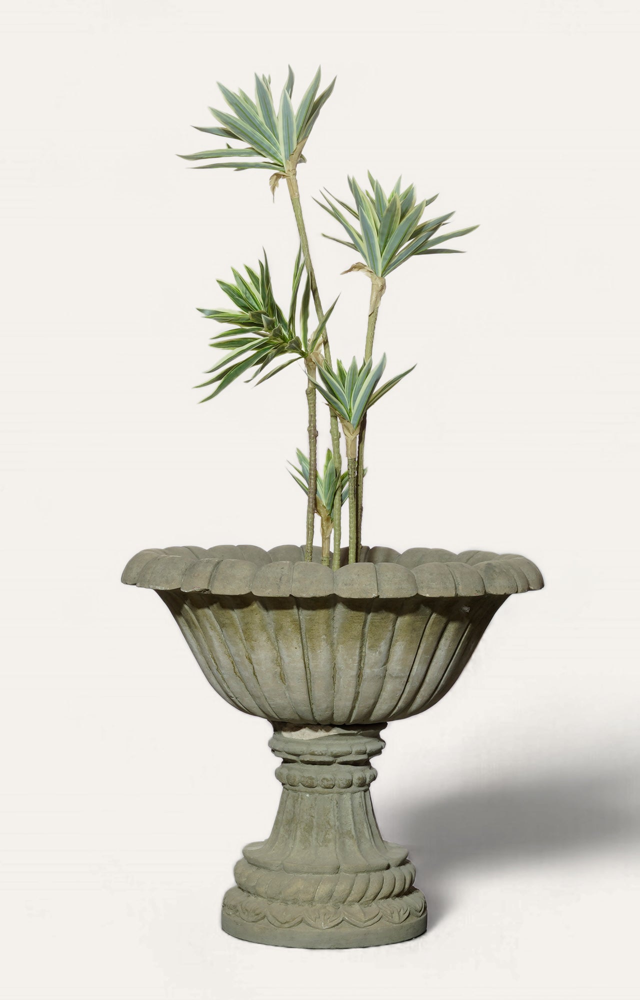 Lotus Long Leaf Urn