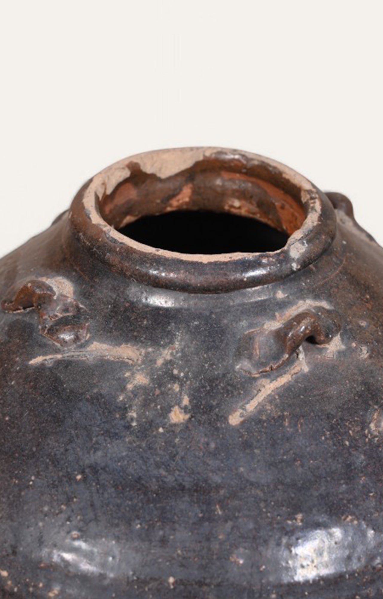 Earthenware Clay Pot