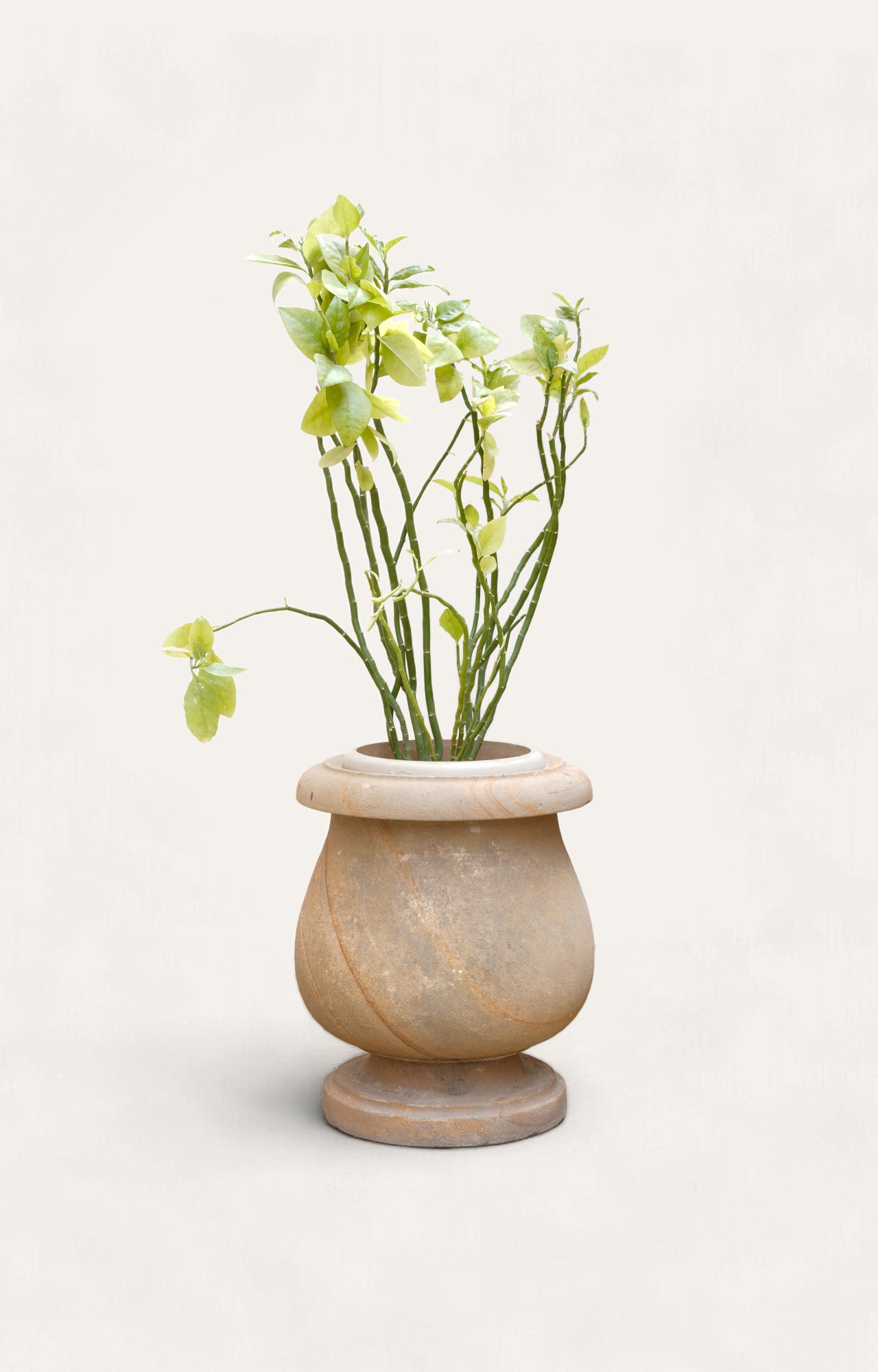 Contemporary Sand Stone Planter